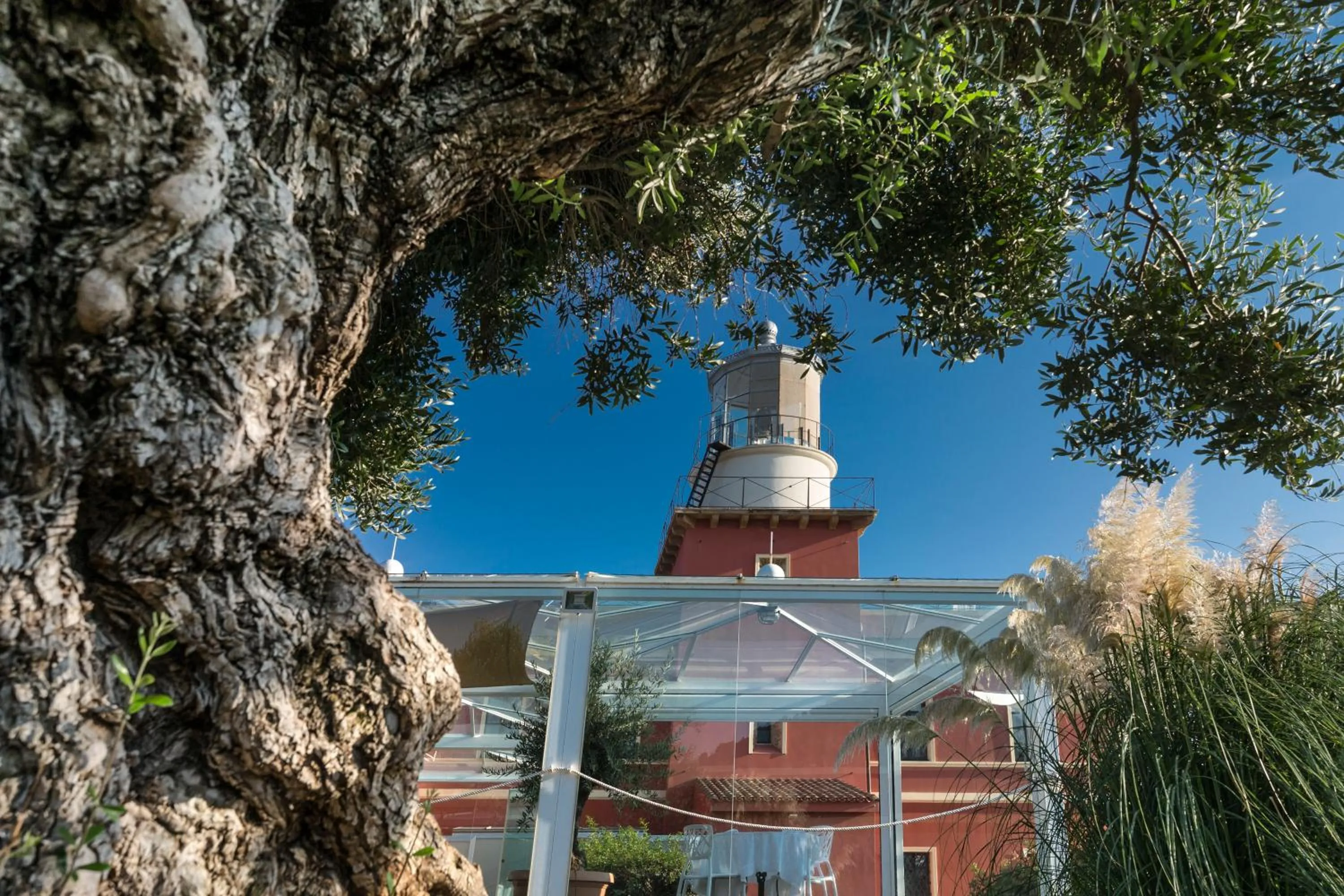 Garden in Faro Capo Spartivento