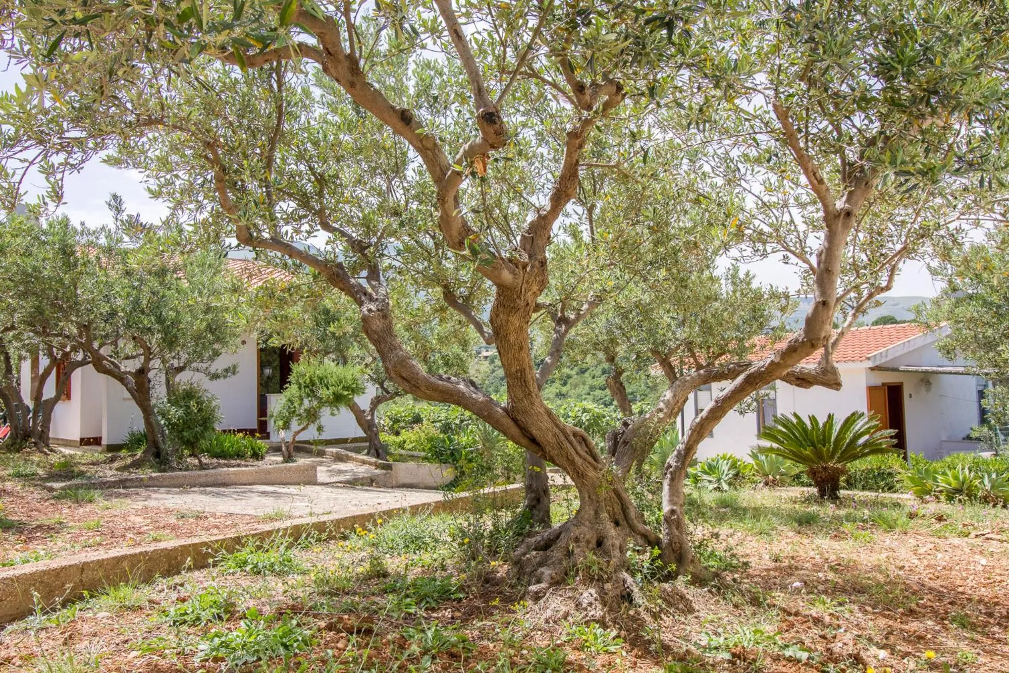 Day in Casale la Macina Residence Scopello