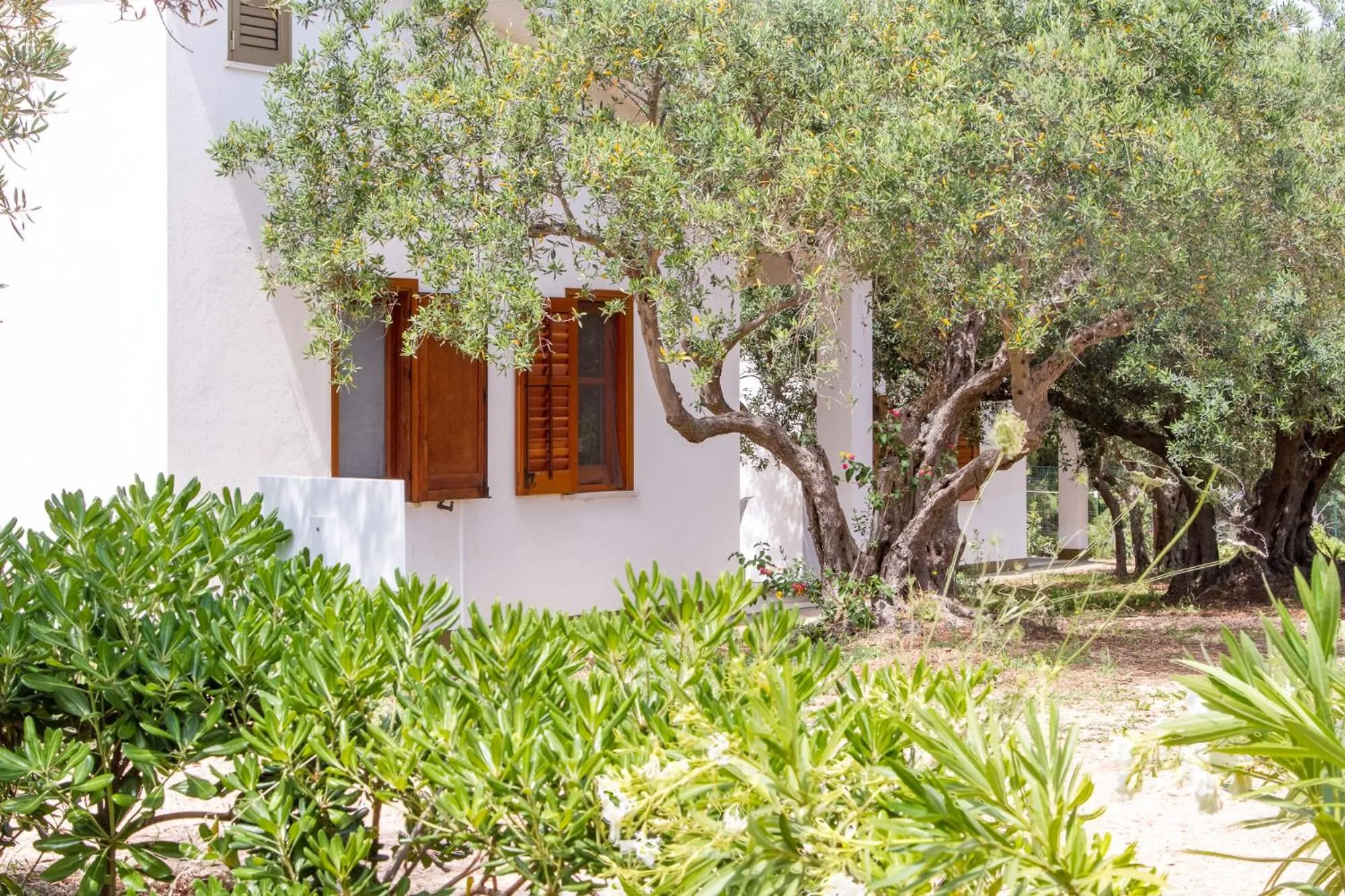 Day in Casale la Macina Residence Scopello