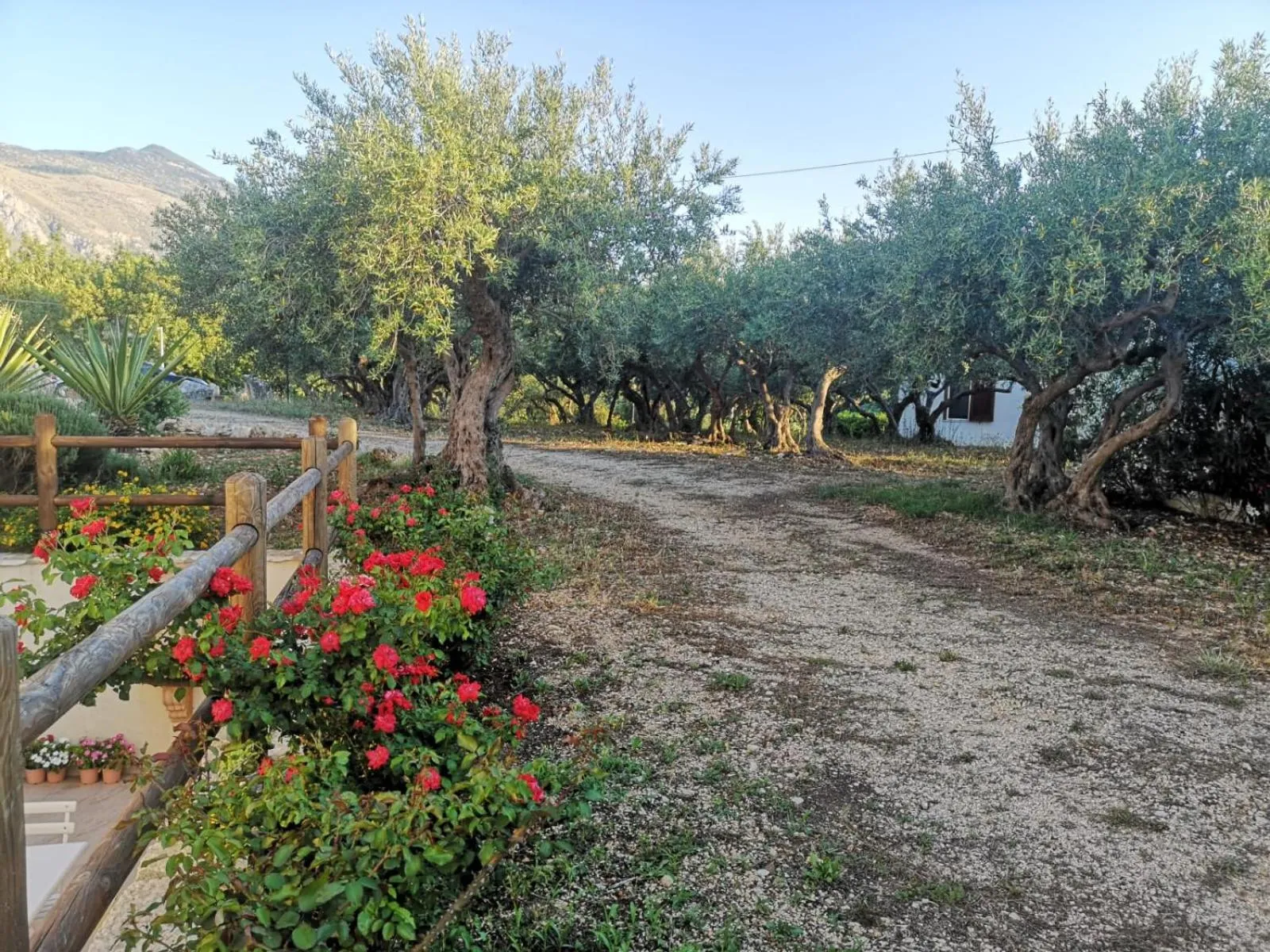 Casale la Macina Residence Scopello