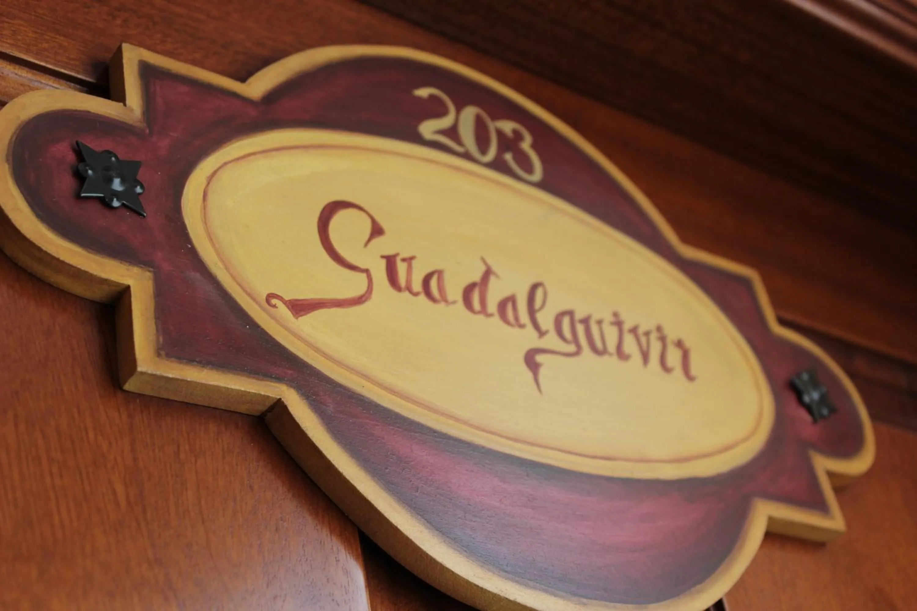 Decorative detail in Casa Palacio Don Pedro