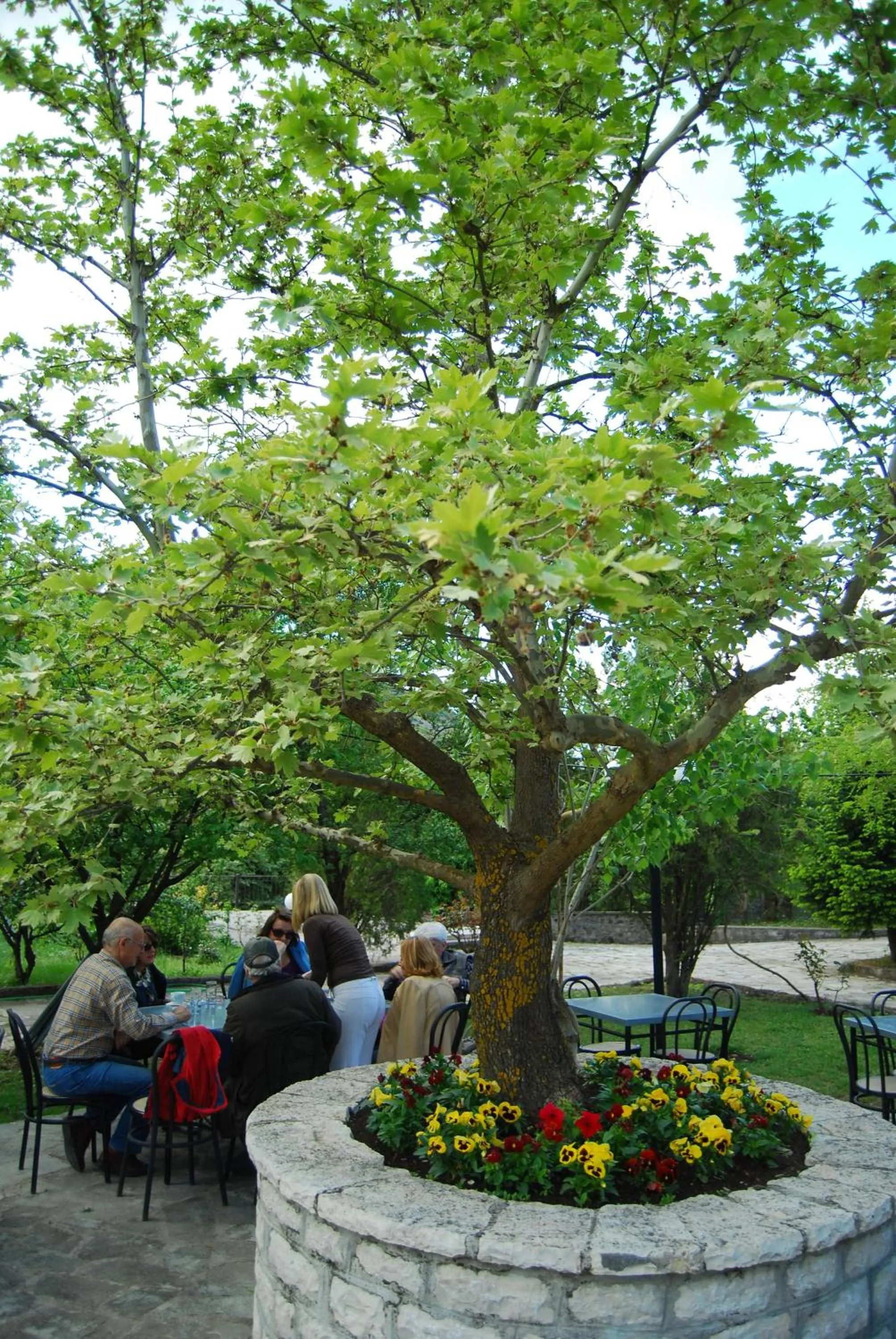 Restaurant/places to eat in Hotel Faraggi