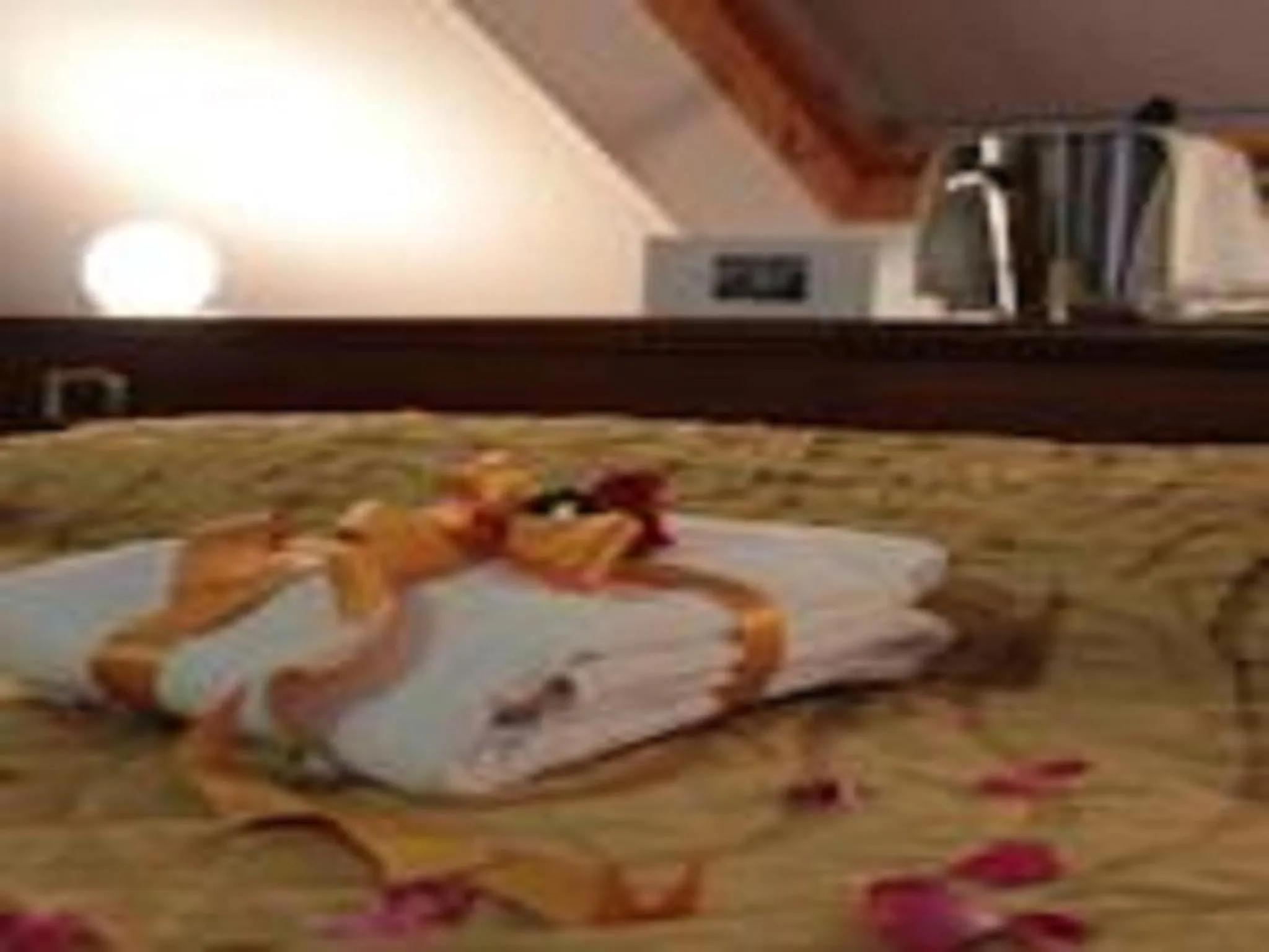 Decorative detail in Lion's Hotel