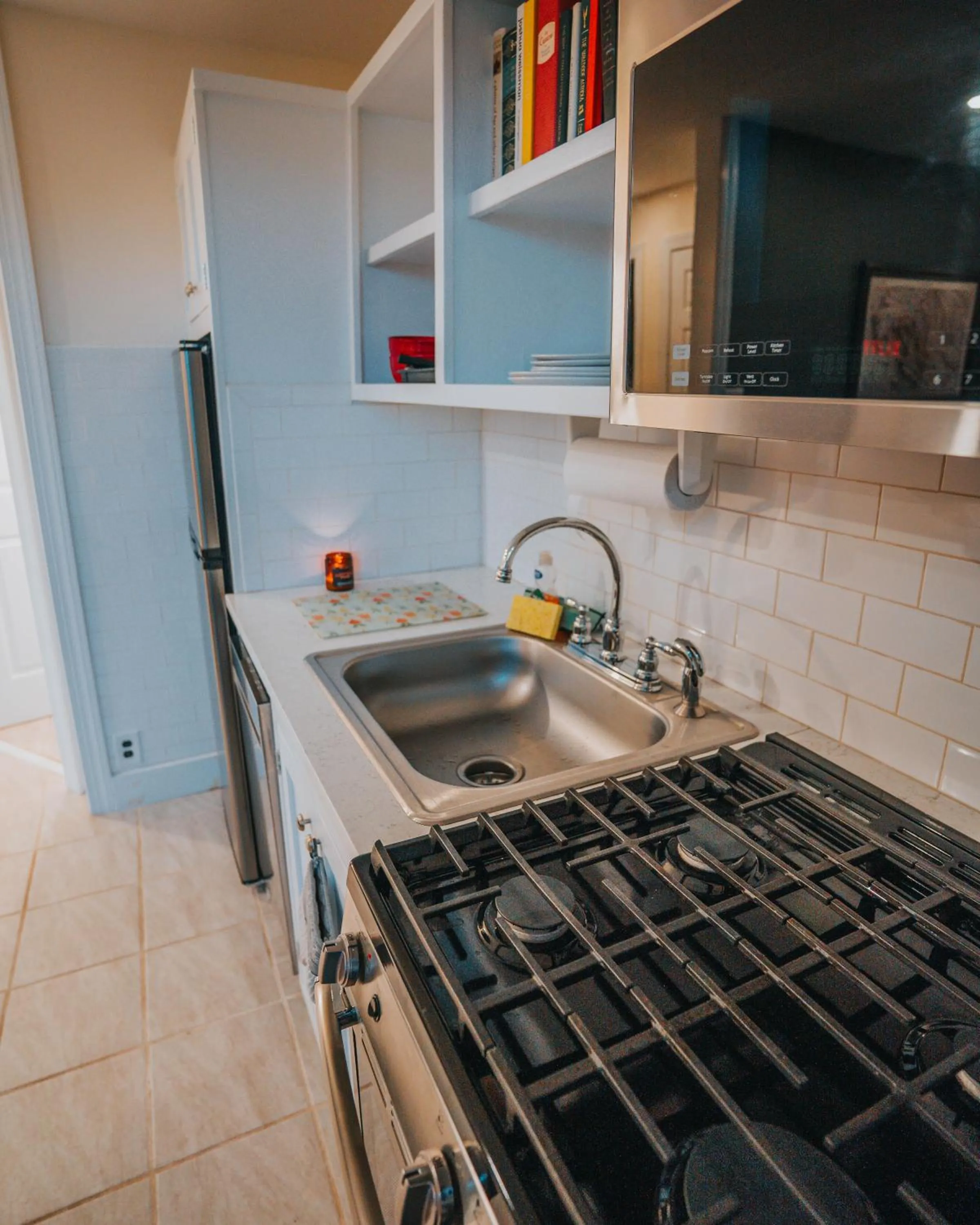 The Willow, Catskill