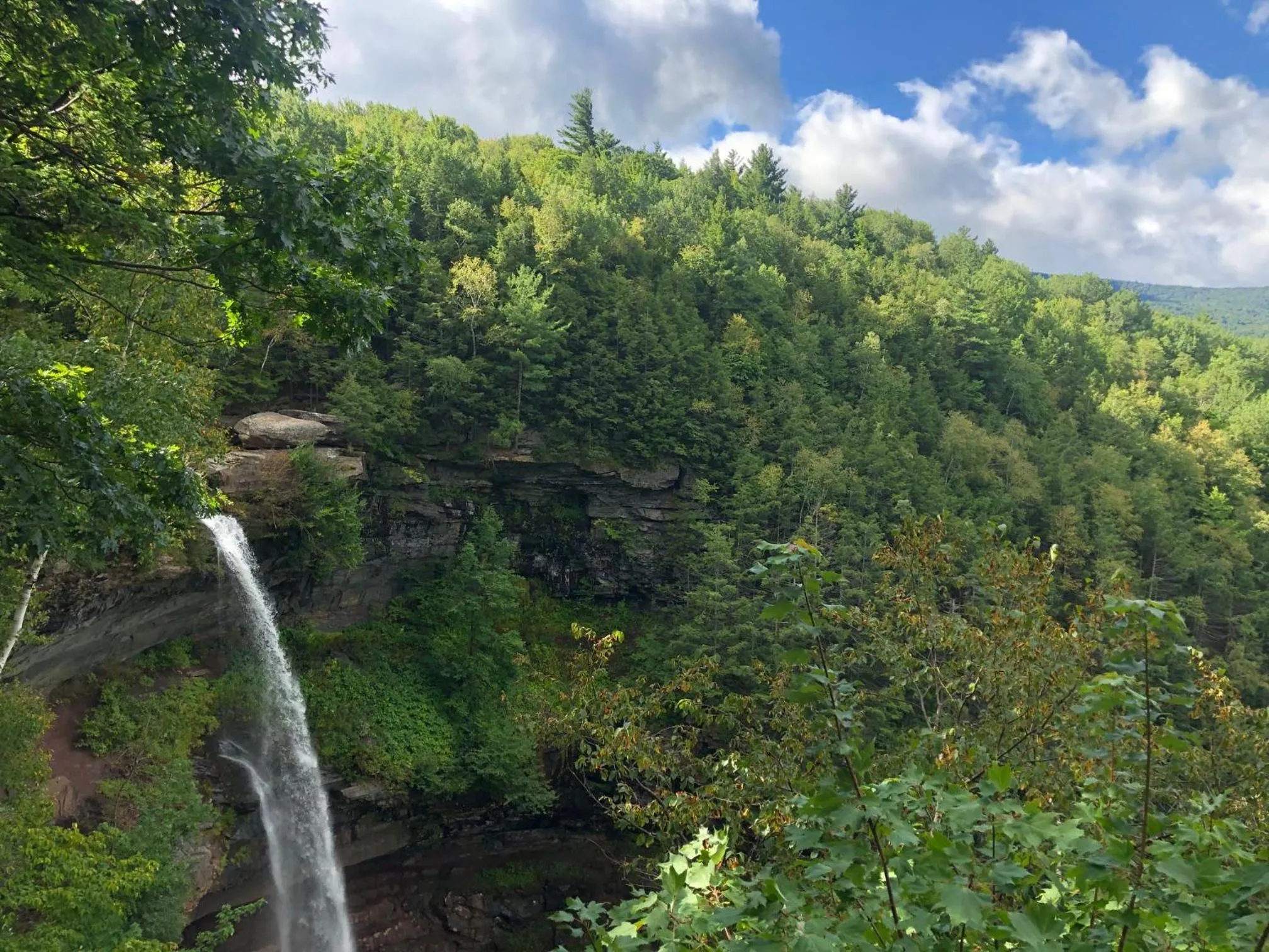 The Willow, Catskill