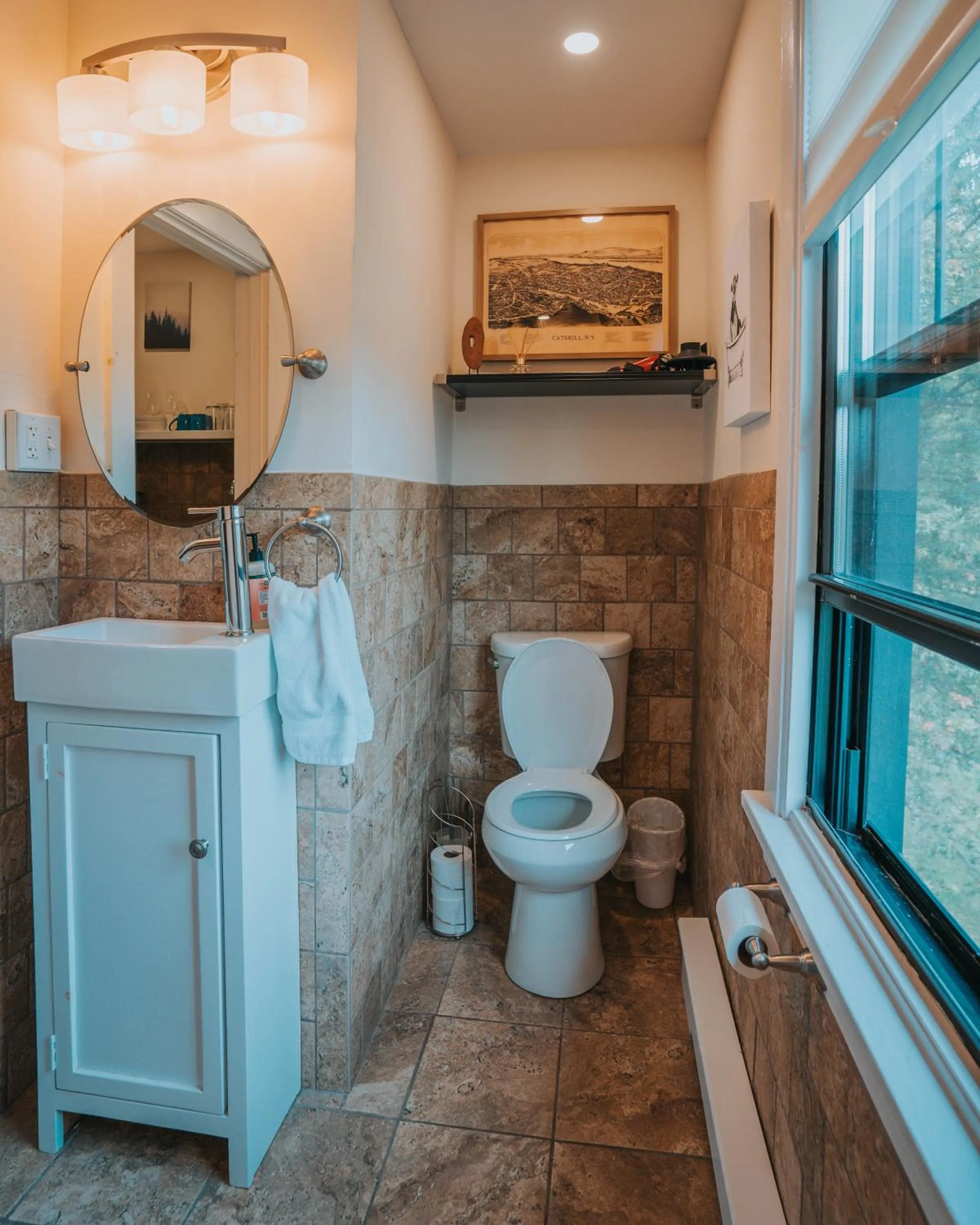 Toilet in The Willow, Catskill