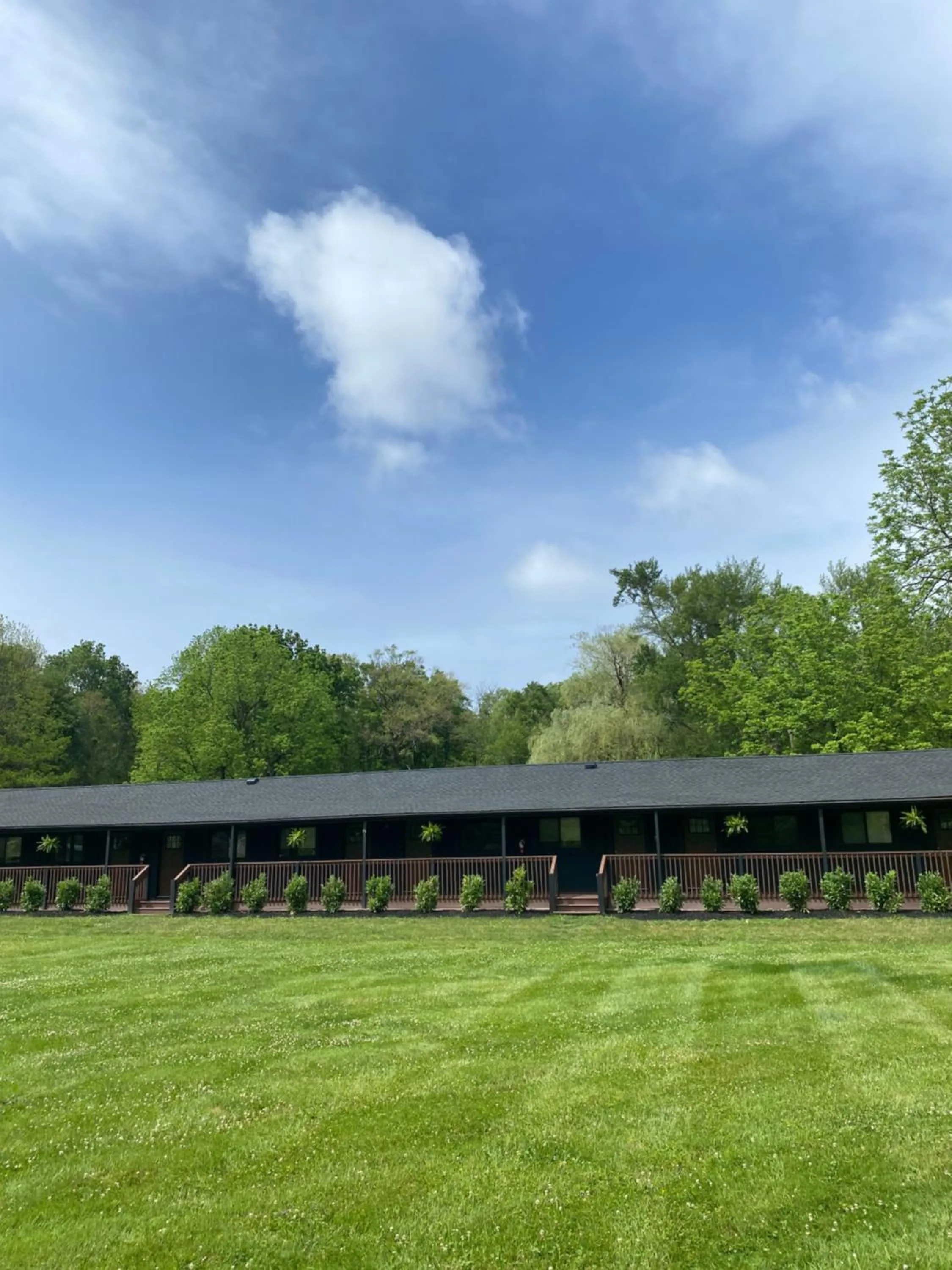 The Willow, Catskill