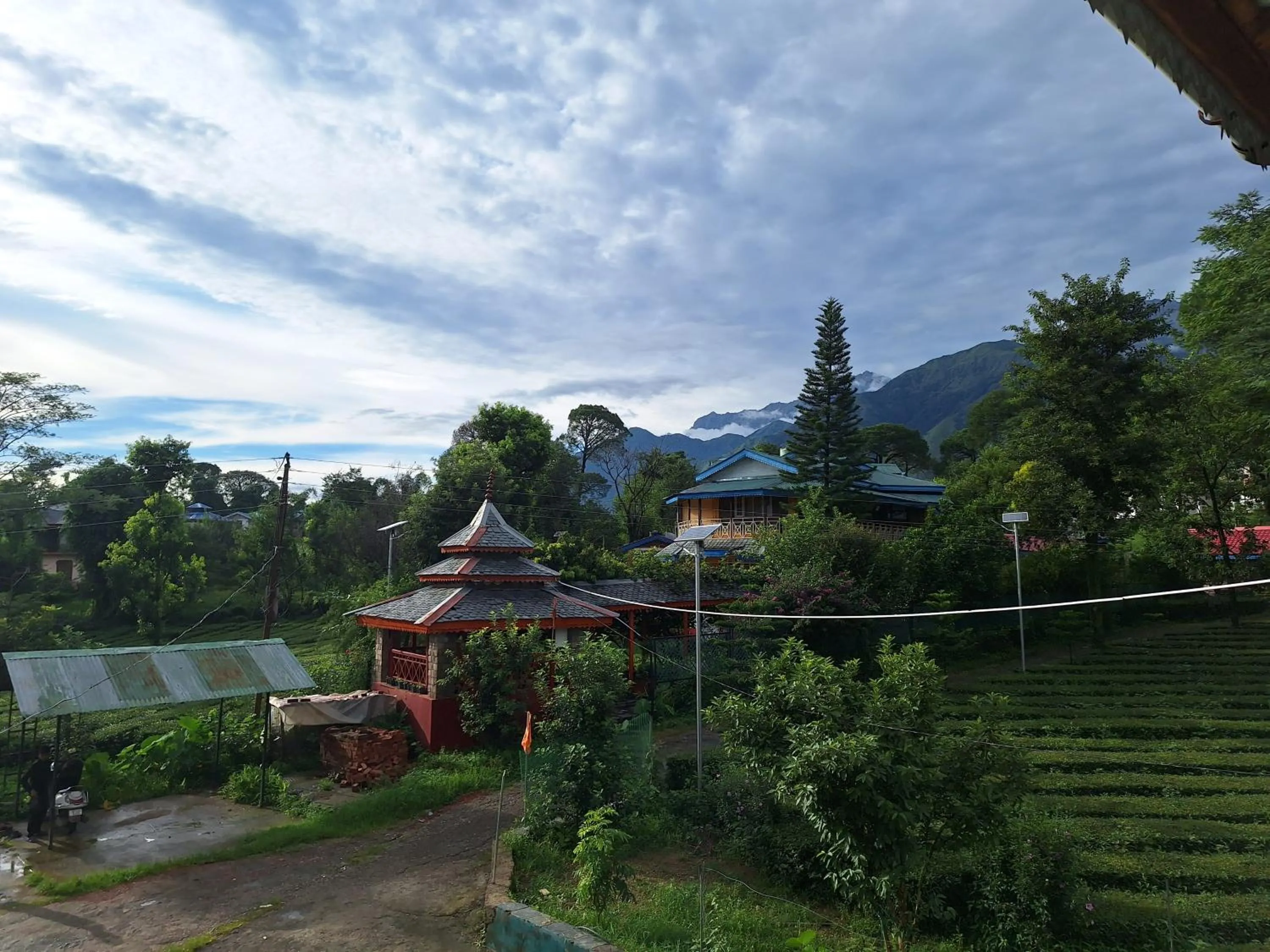 Natural landscape in Royal Green Buds
