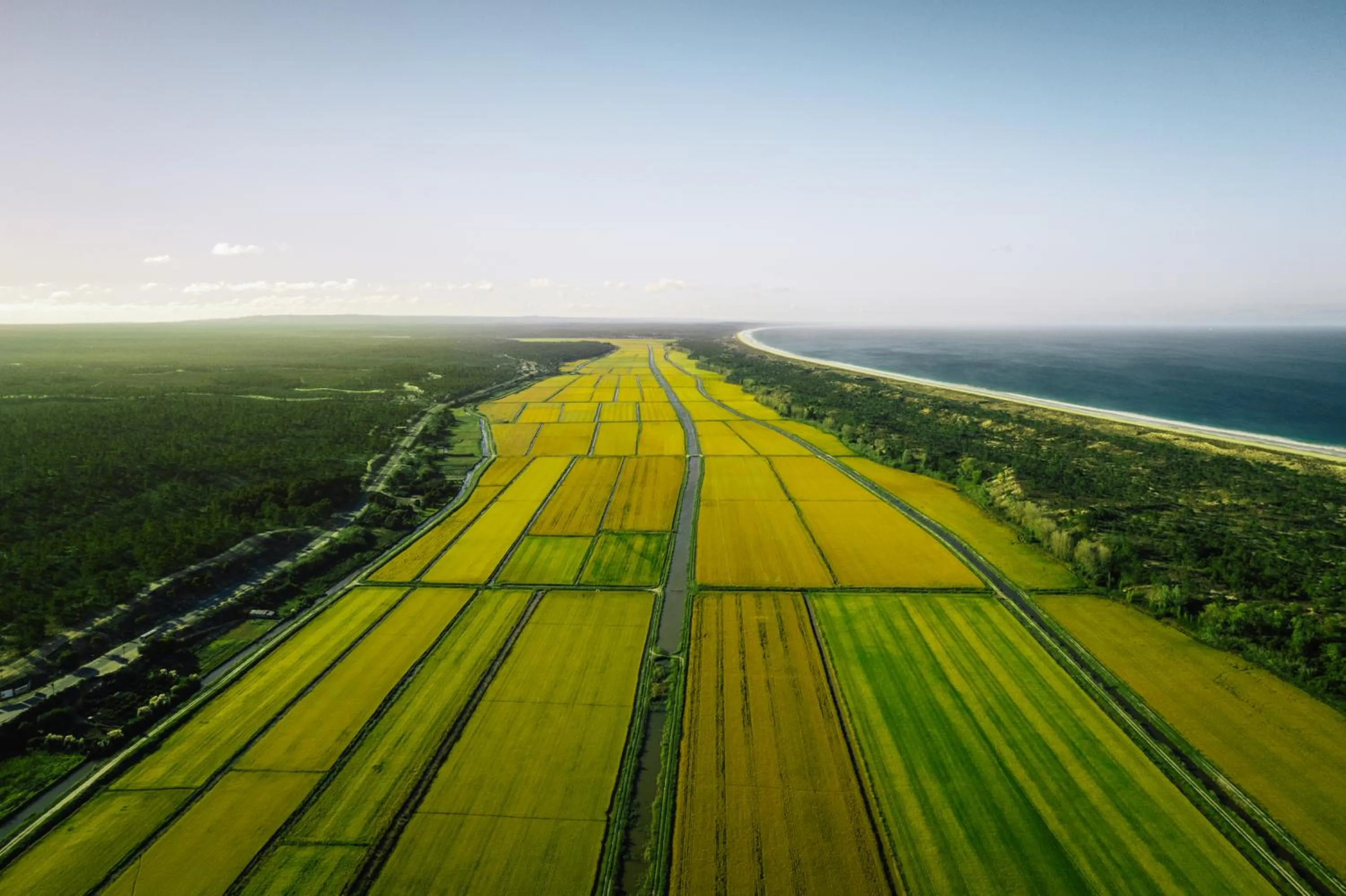 Natural landscape in AlmaLusa Comporta