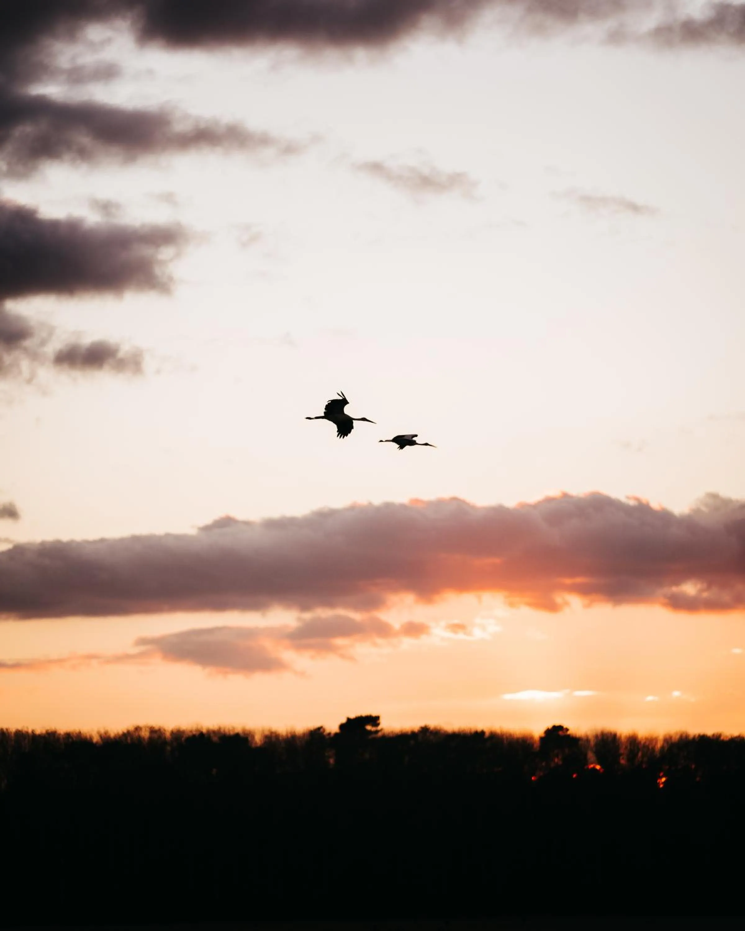 Sunset in AlmaLusa Comporta