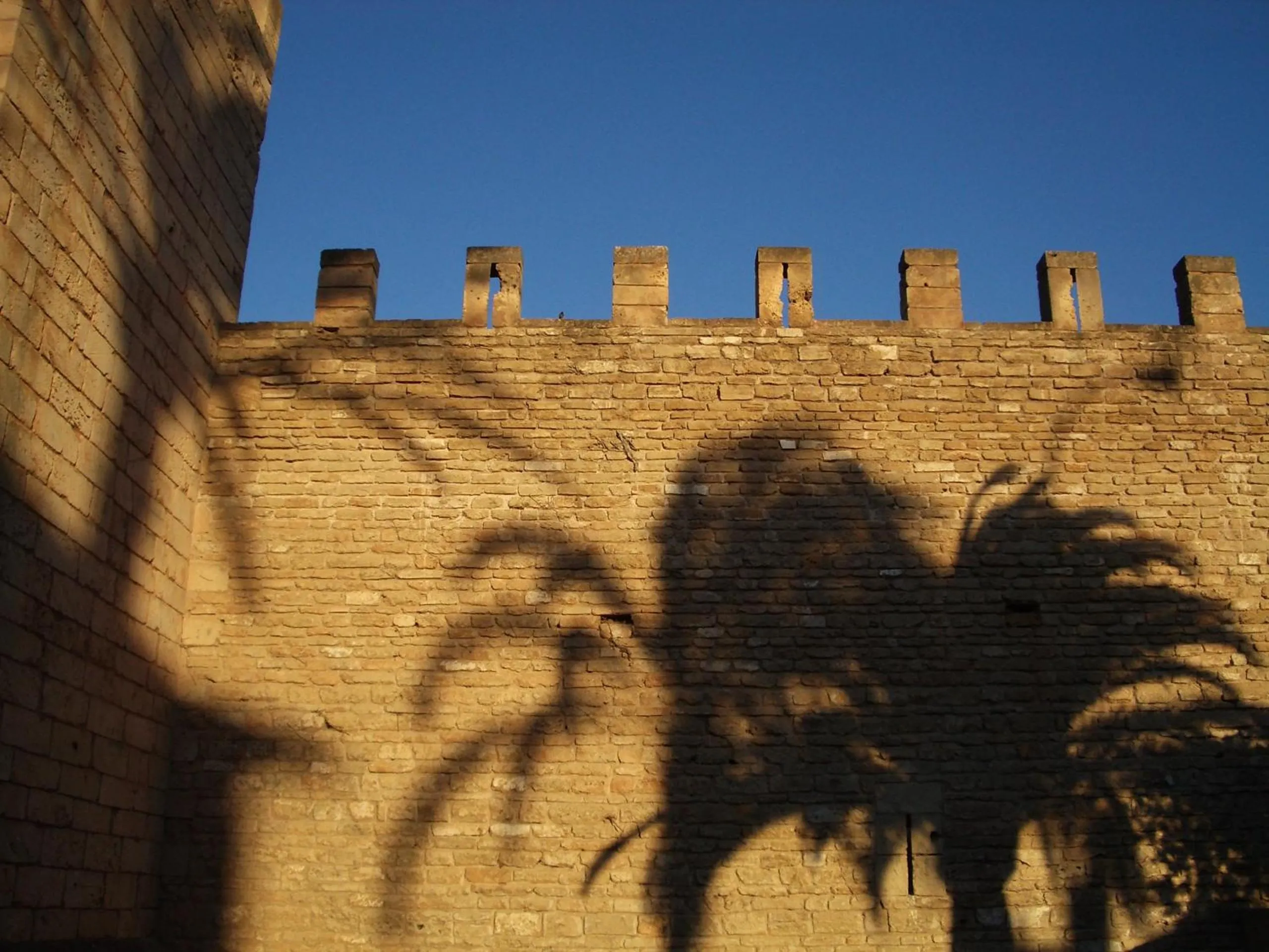 Nearby landmark in Cas Ferrer Nou Hotelet