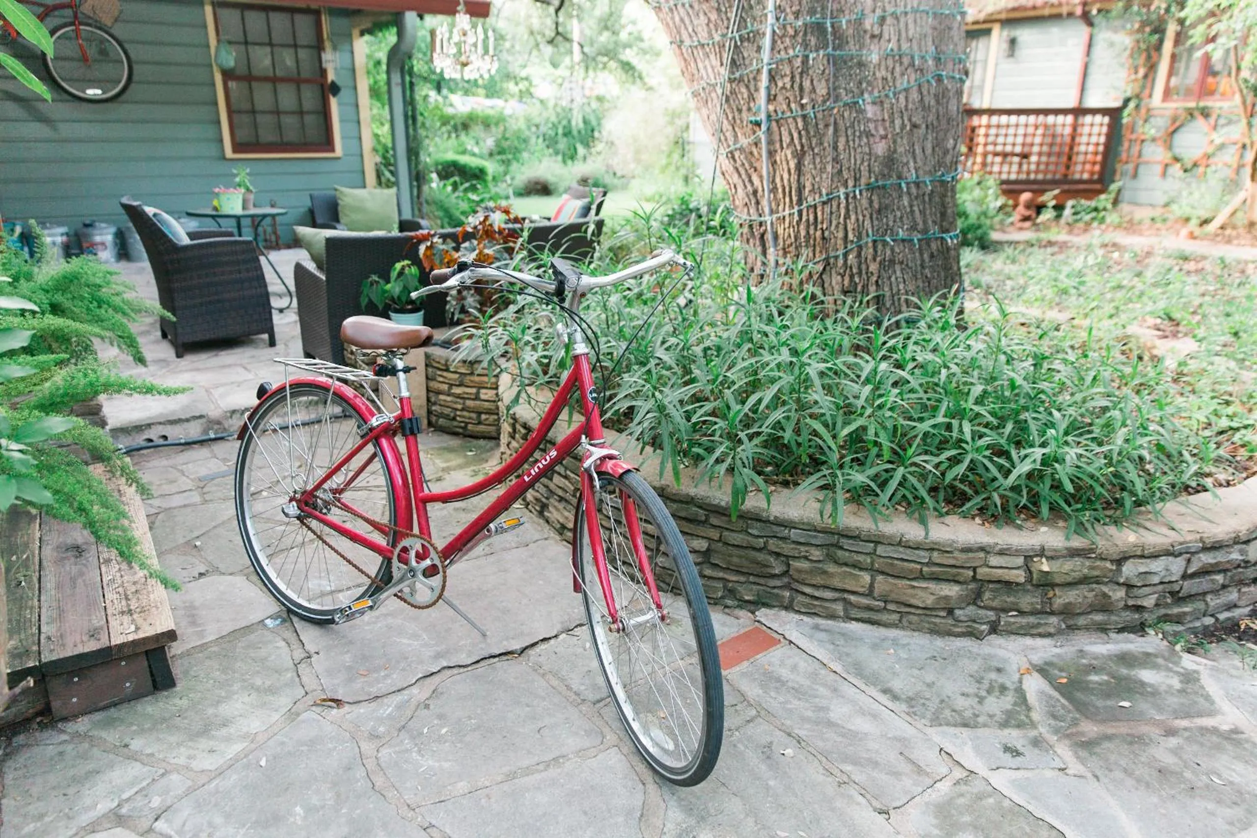 Cycling in Park Lane Guest House