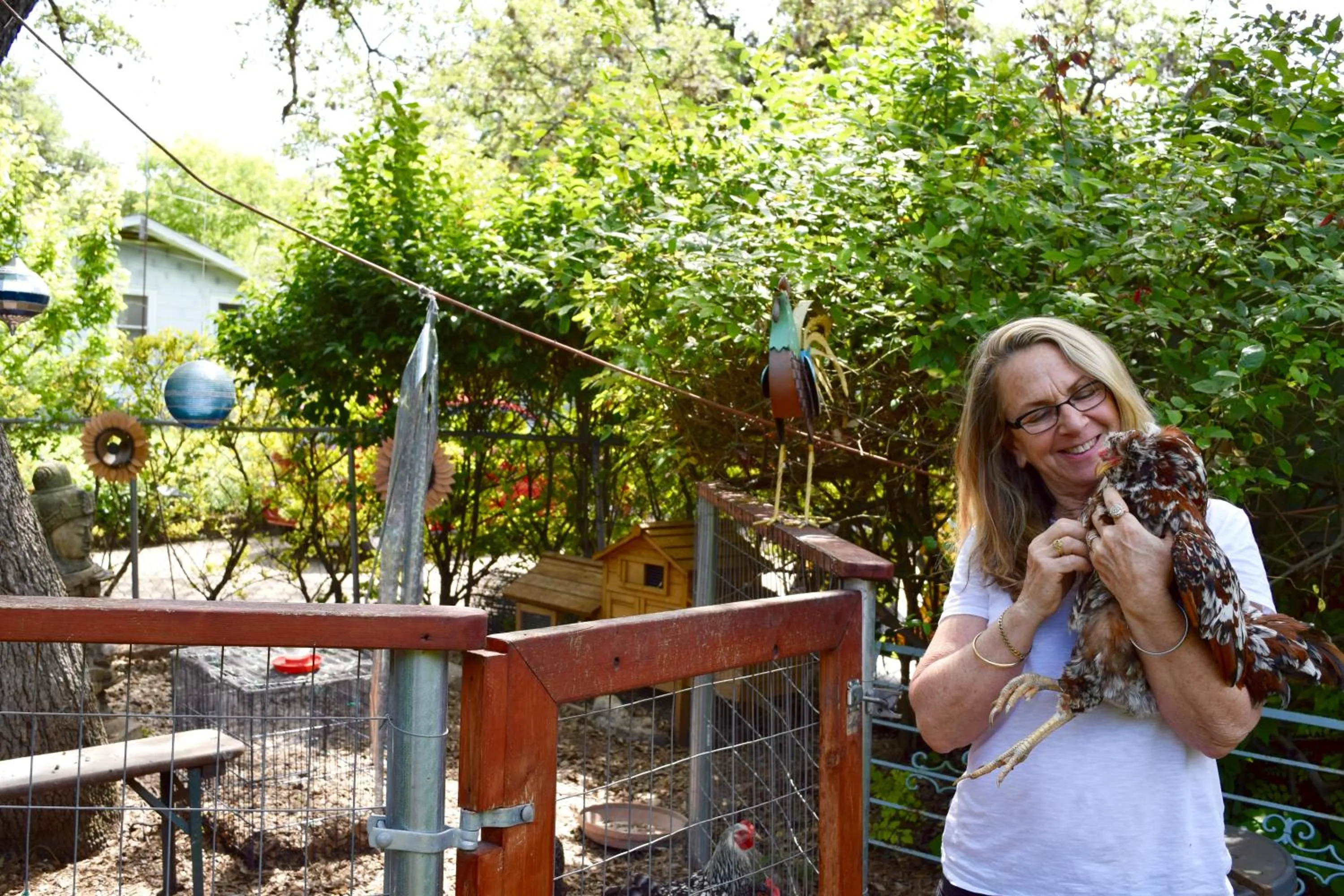 Animals in Park Lane Guest House