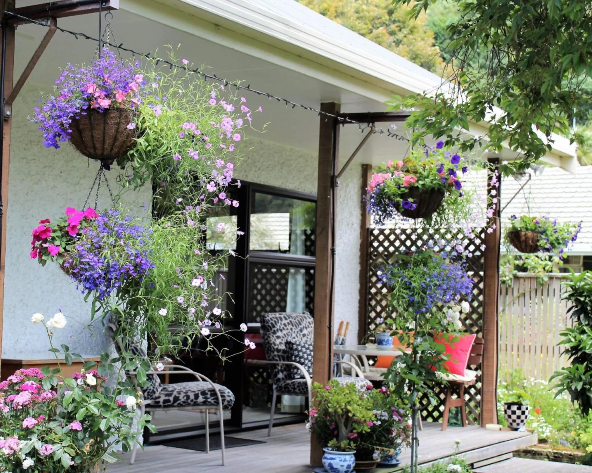 Garden in Annick House Bed and Breakfast