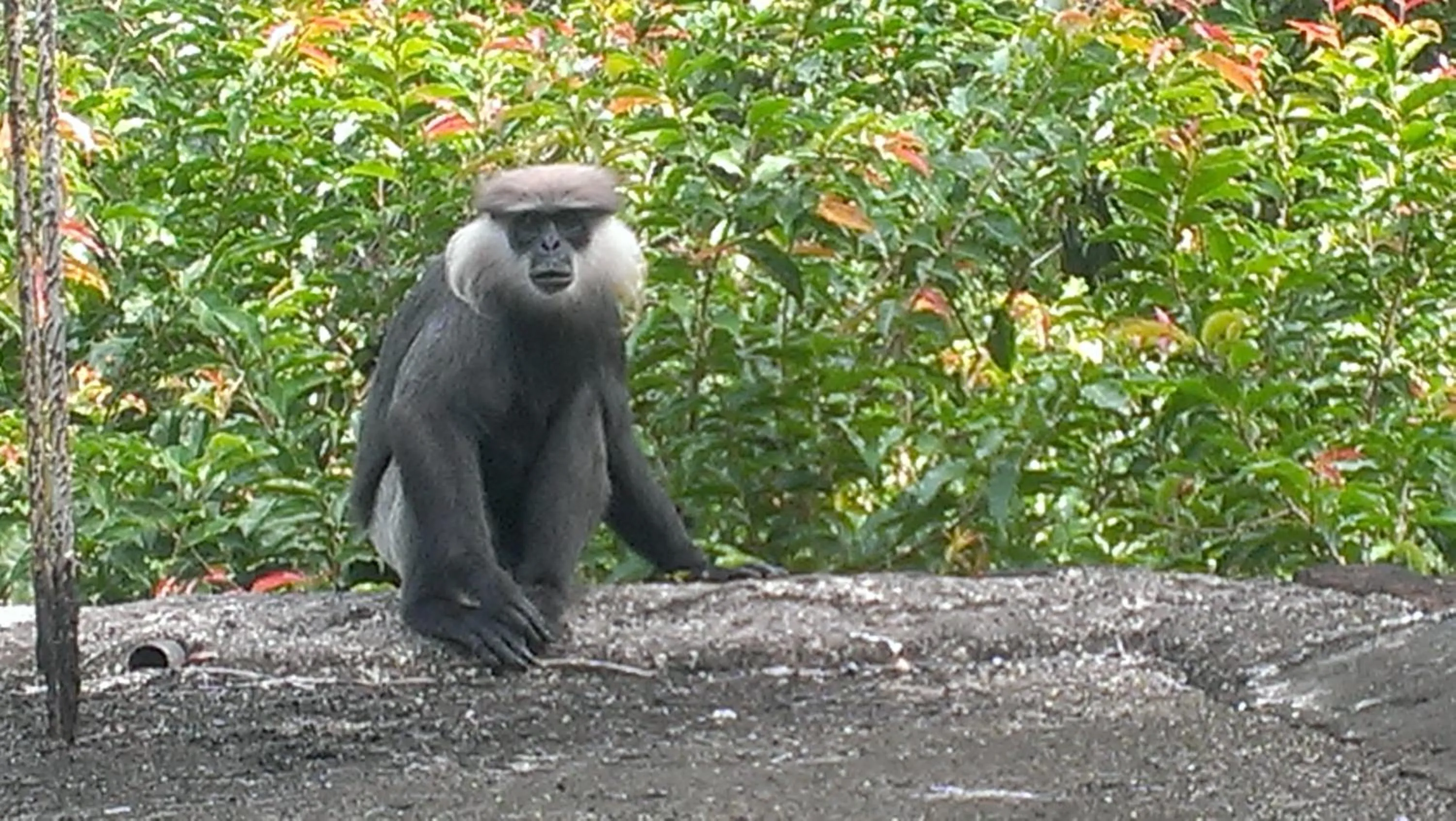 Sundance Surf Coconut Point