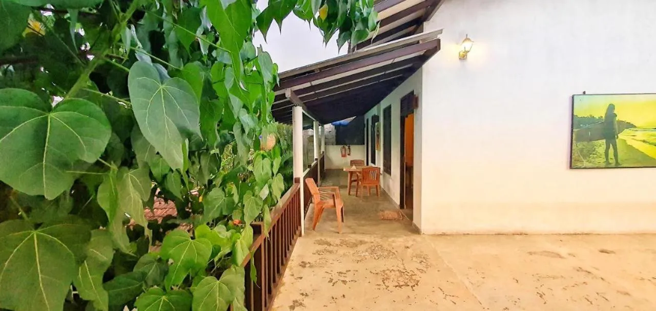 Sundance Surf Coconut Point