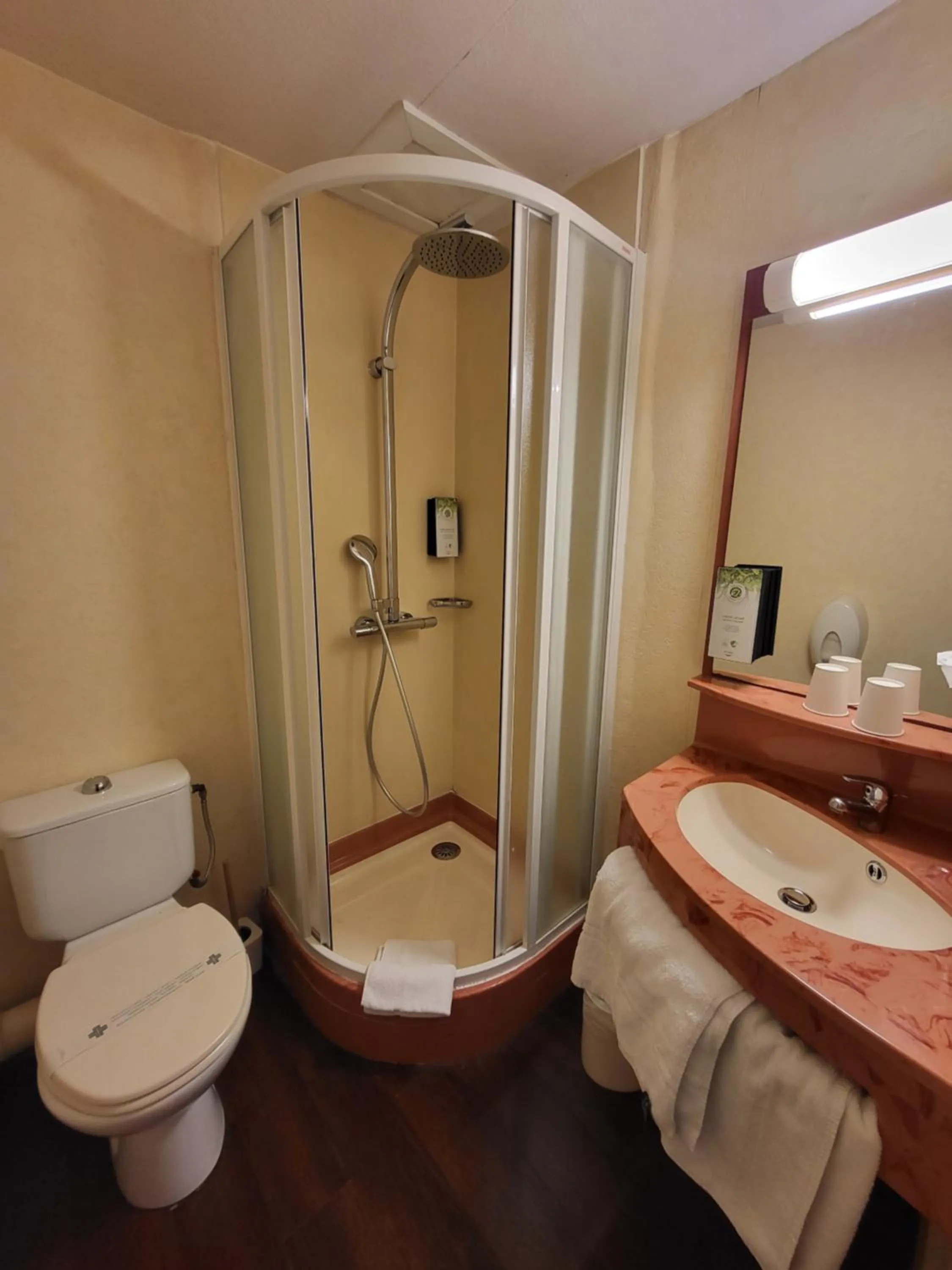 Bathroom in Kyriad Saint Quentin en Yvelines - Montigny