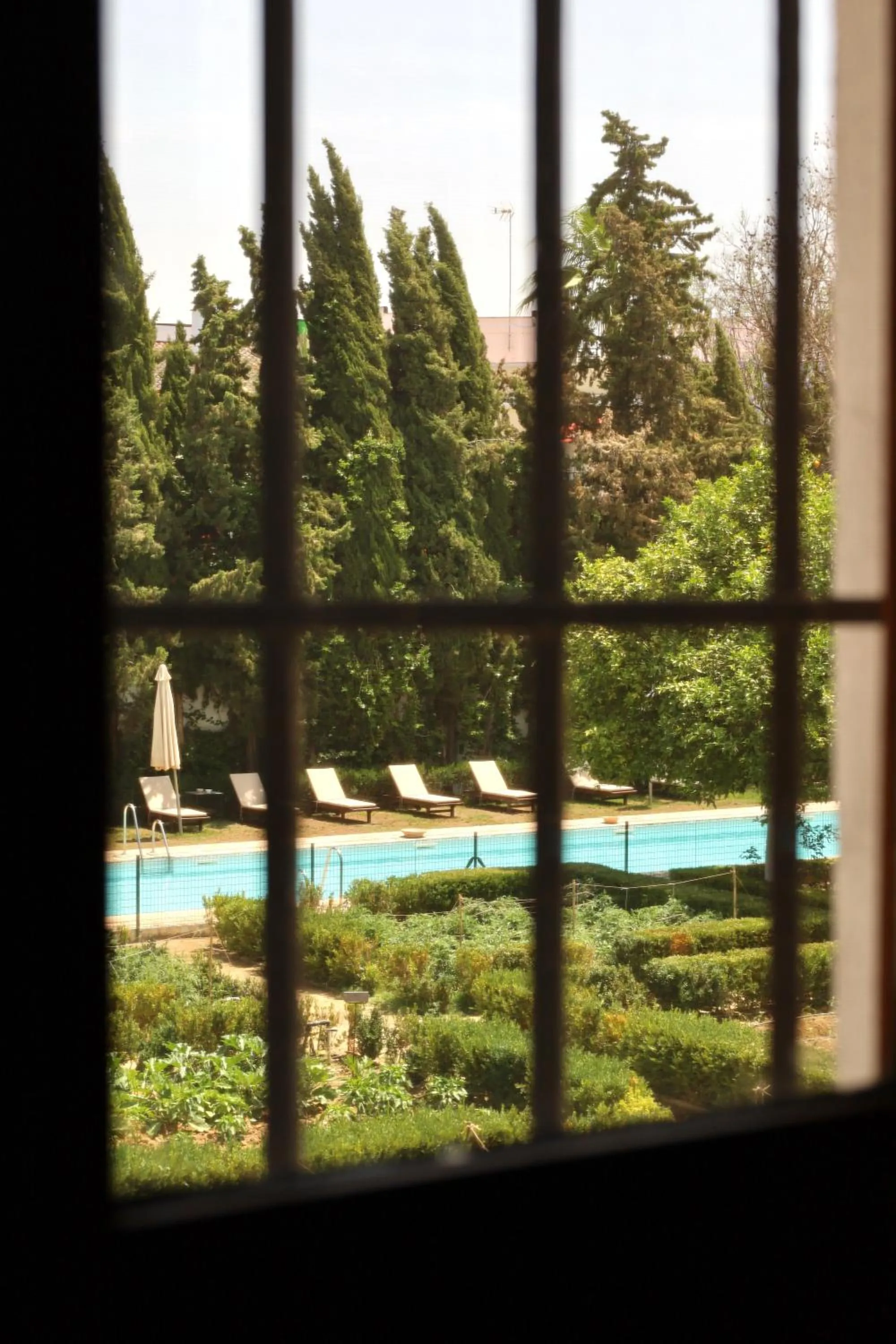 Garden view in Monasterio de San Francisco