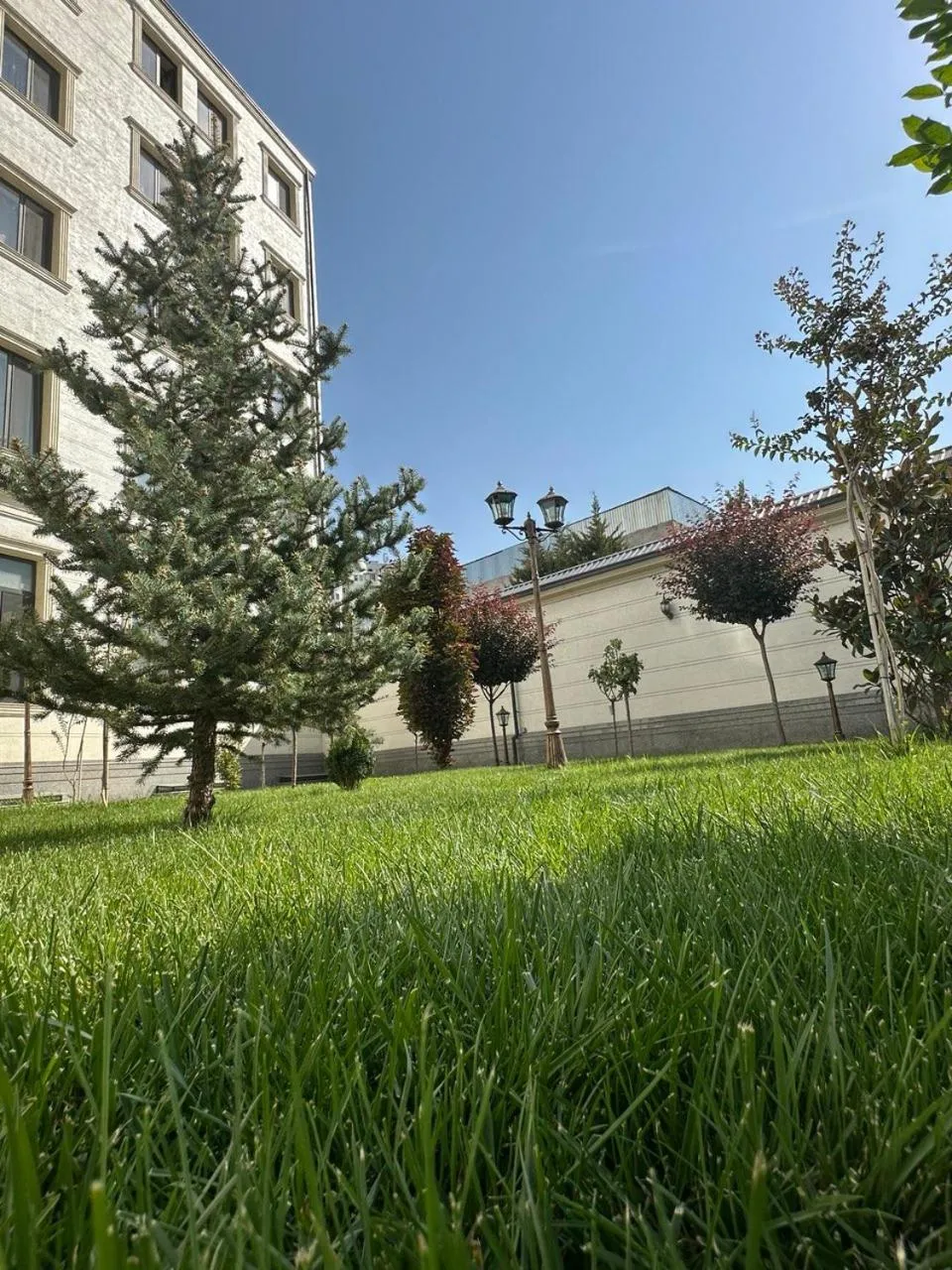 Garden in Garnet Hotel Tashkent
