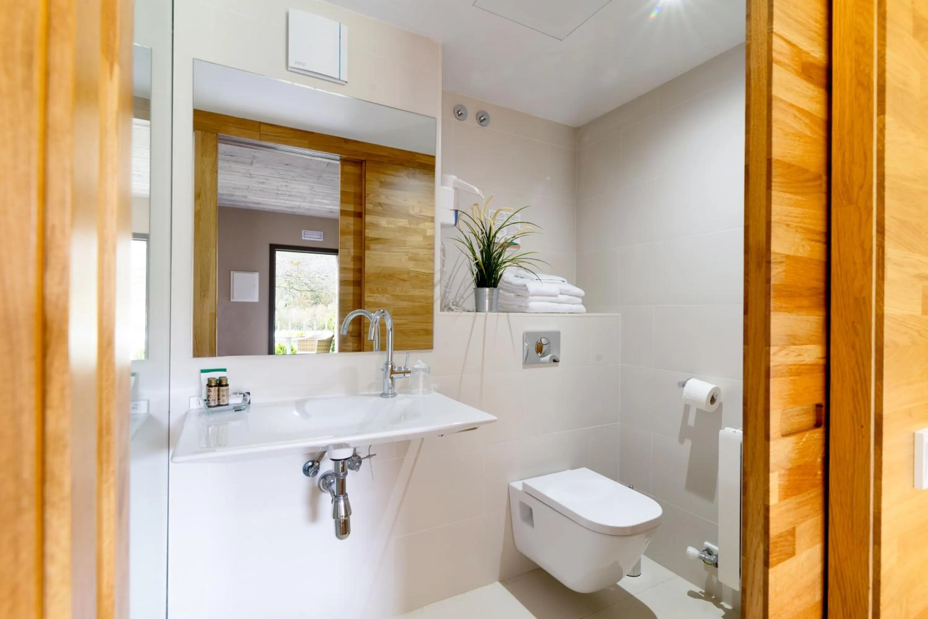 Toilet in Les Planes del Grau