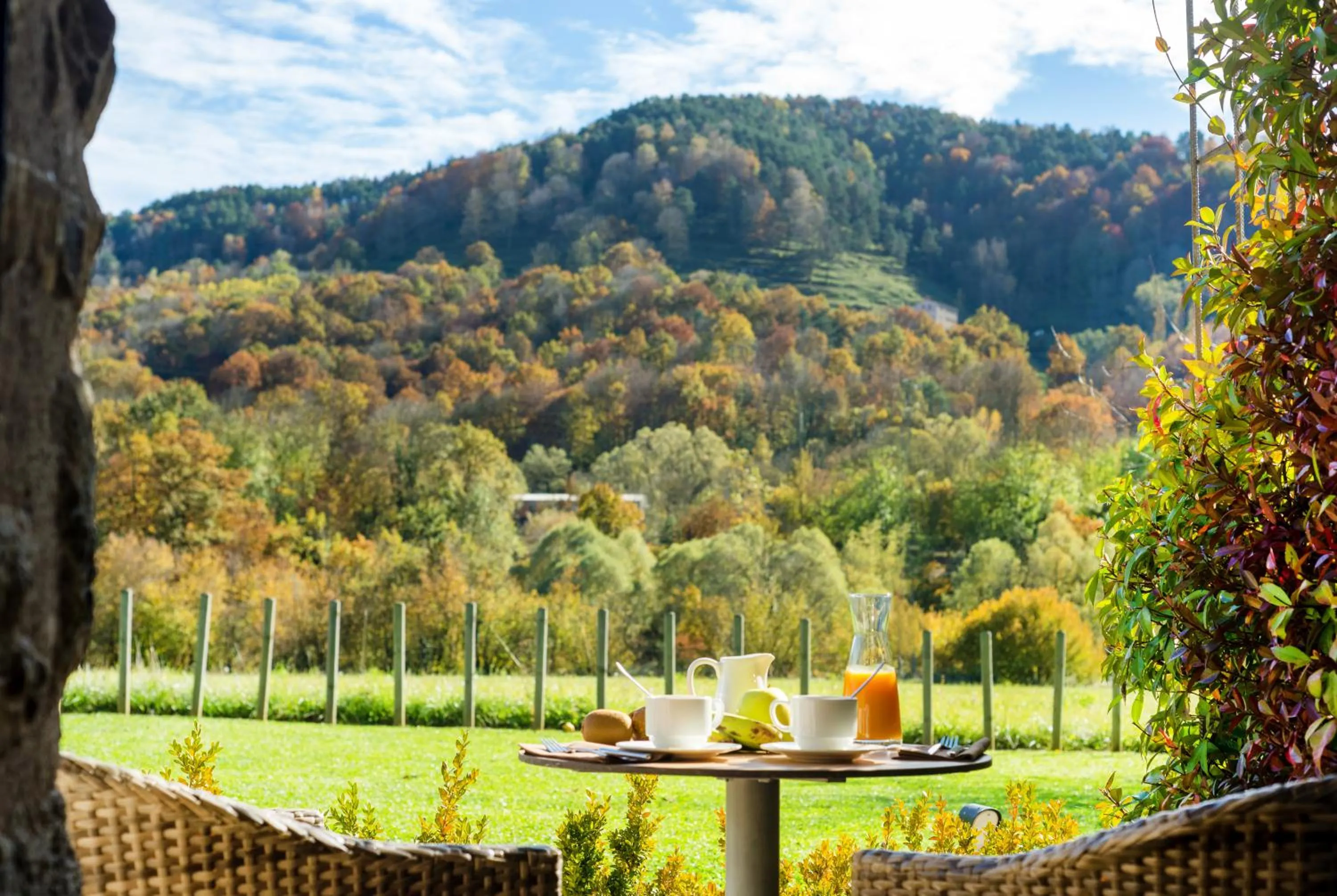 Garden in Les Planes del Grau