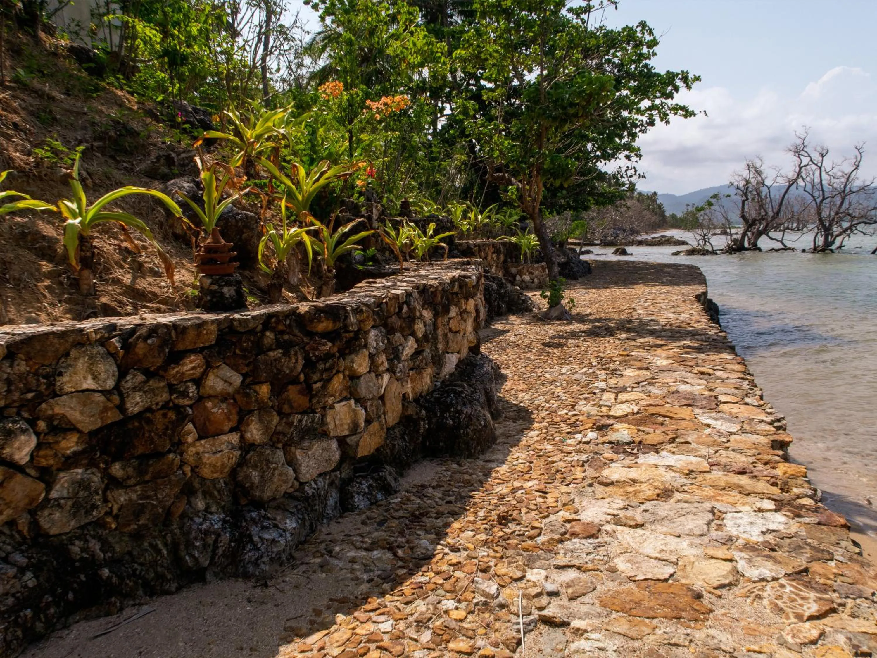 Beach in The Dream Beach Resort