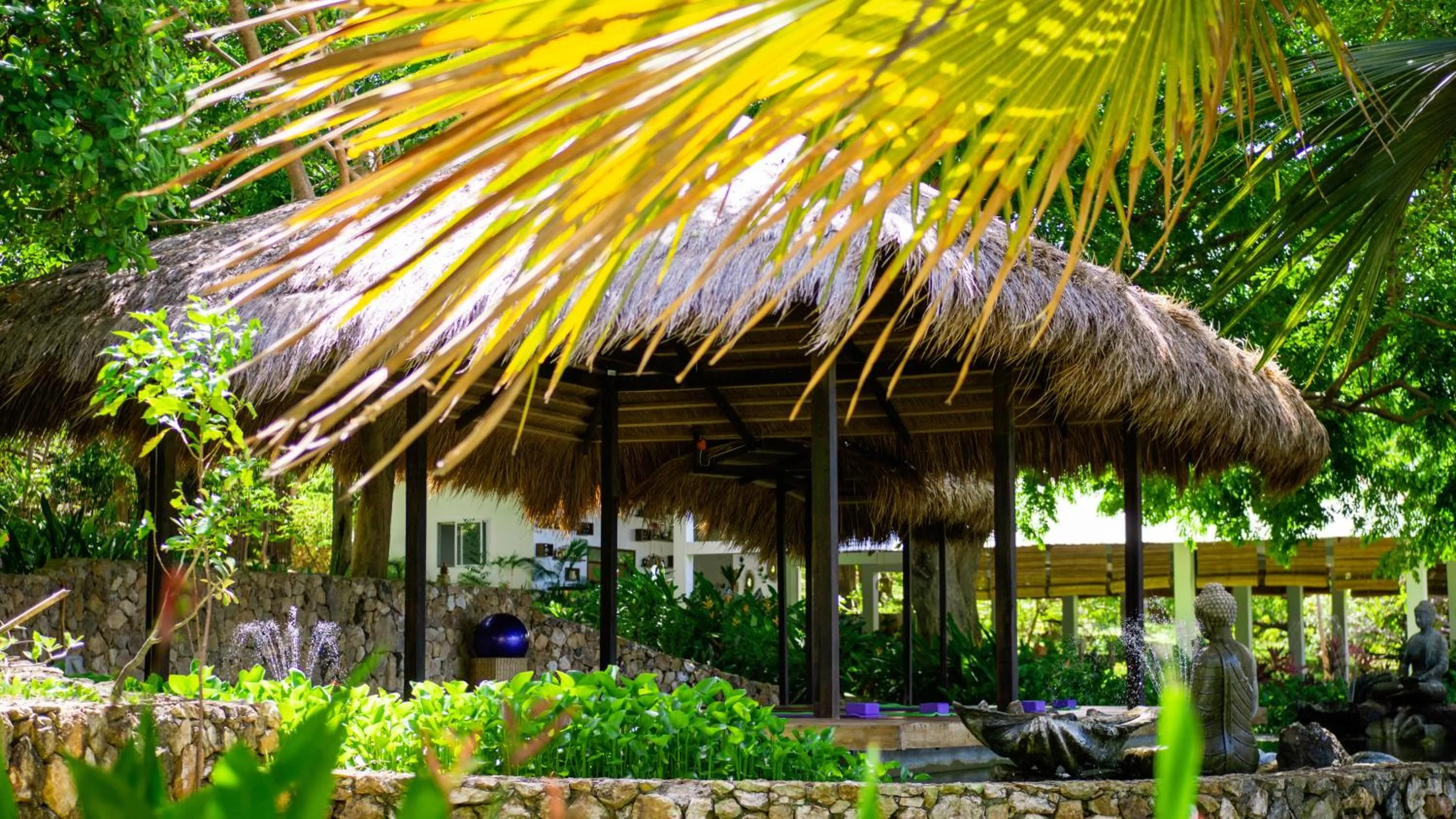 Activities in The Dream Beach Resort