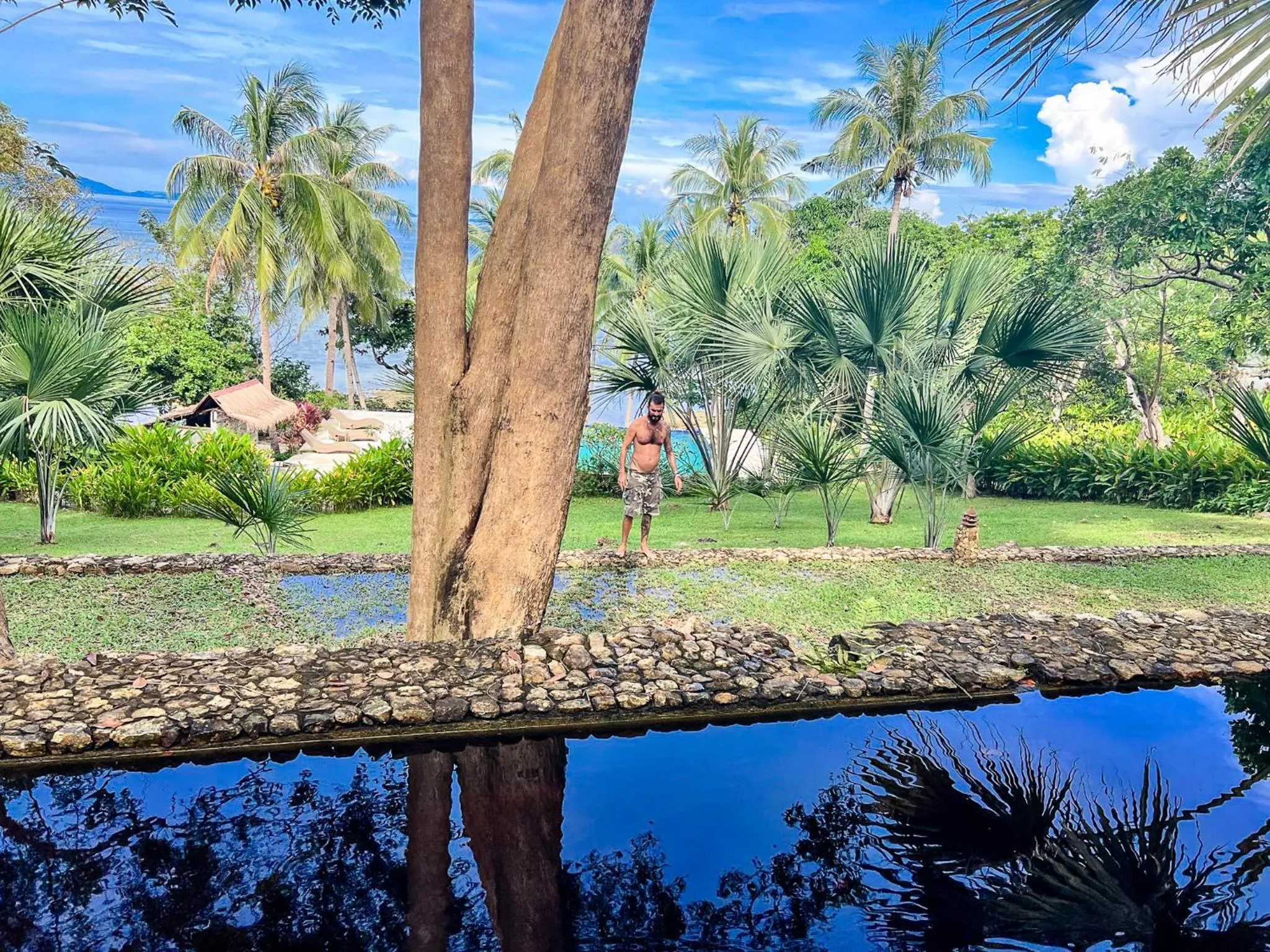 Natural landscape in The Dream Beach Resort