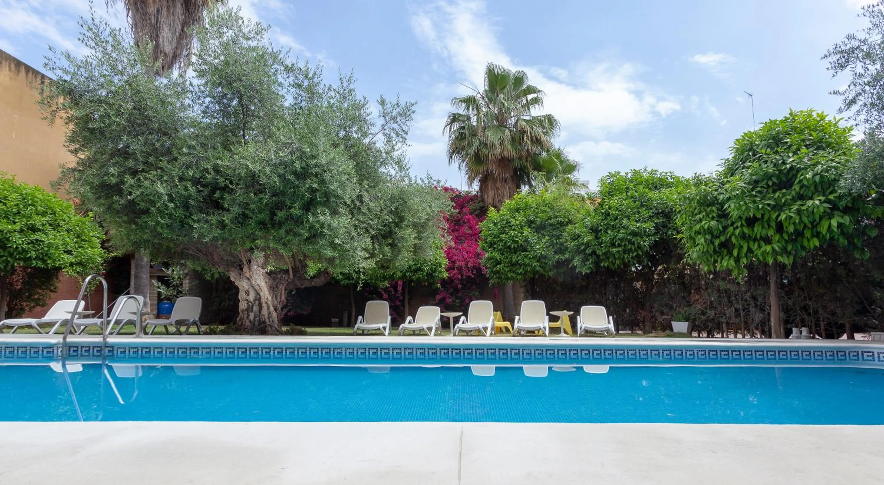 Swimming pool in AACR Hotel Monteolivos