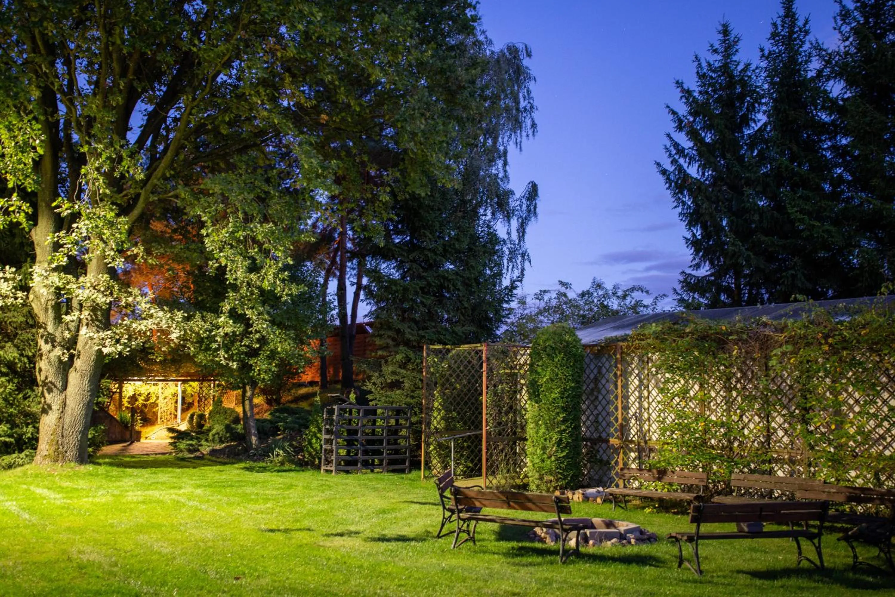 Garden in W Krainie Alicji