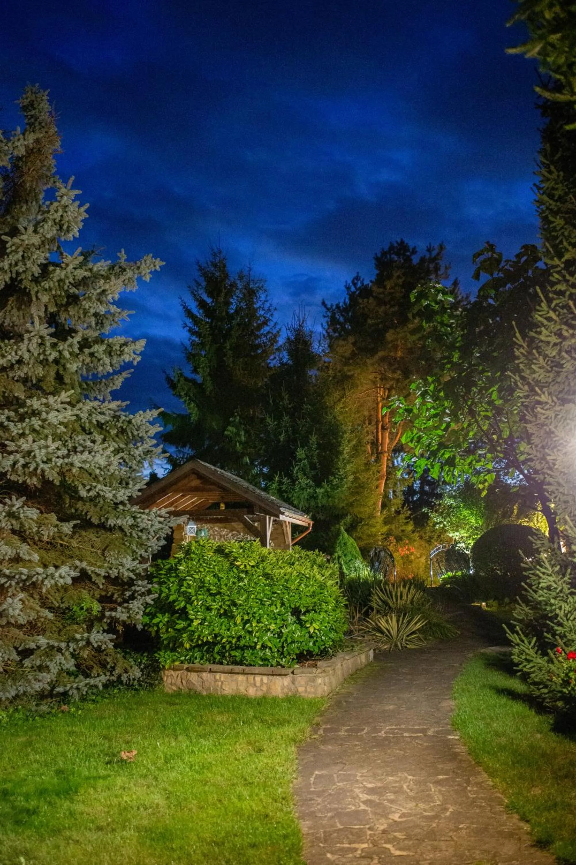 Garden in W Krainie Alicji