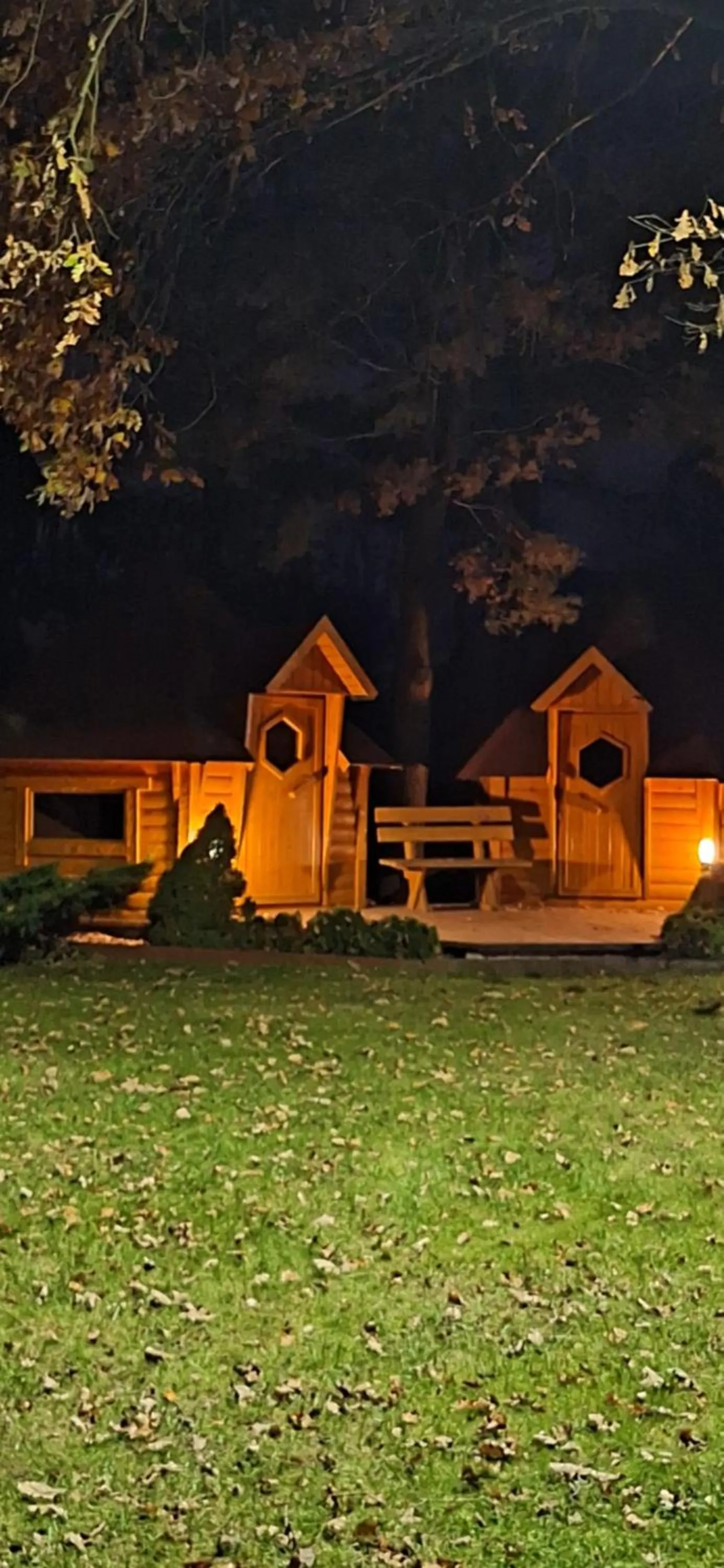 Garden in W Krainie Alicji