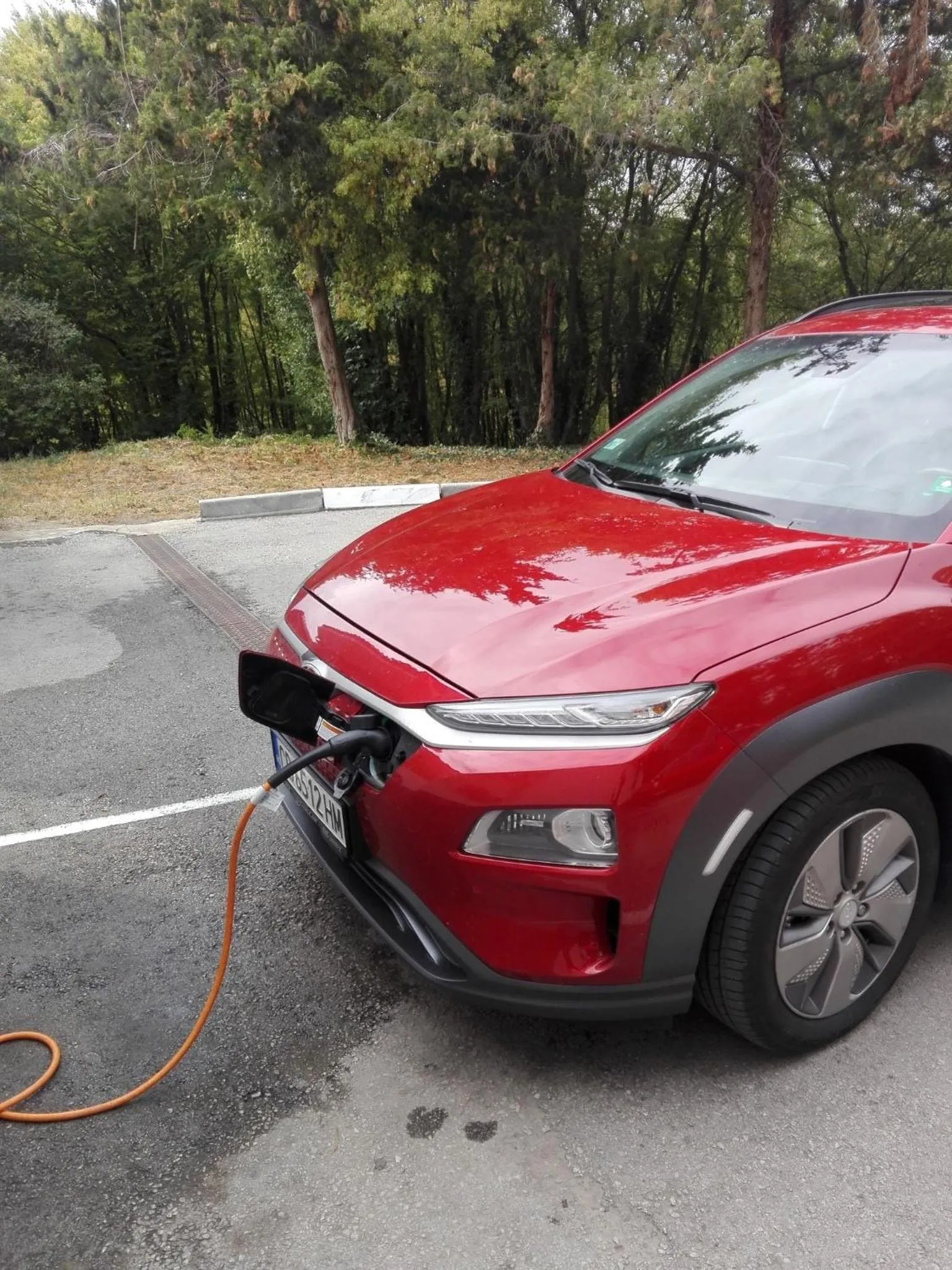 Area and facilities in Hotel Villa Kaylaka