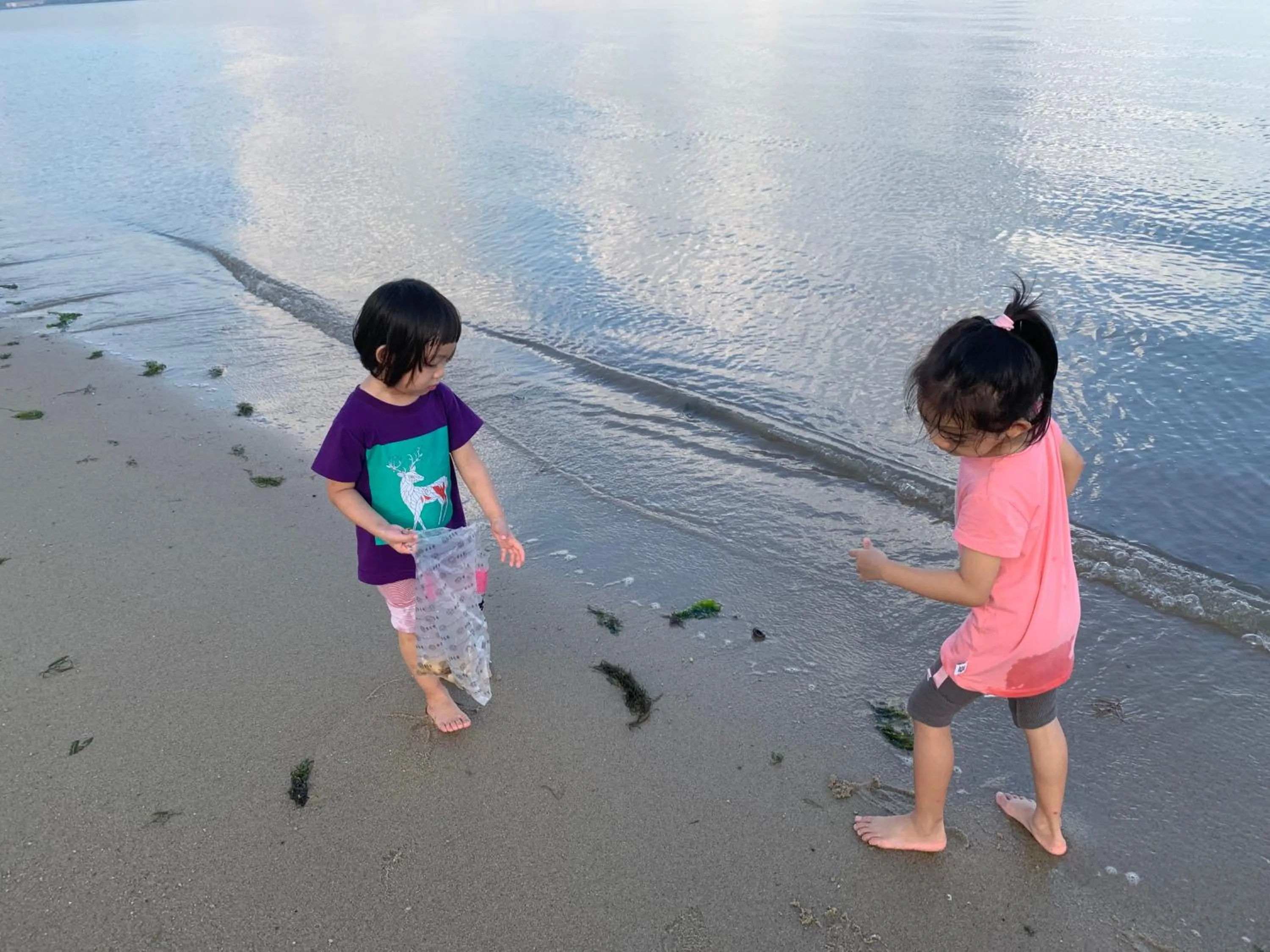 Beach in Sea view 2 bedroom Fully furnished Apartment Forest City Starview Bay Johor Malaysia