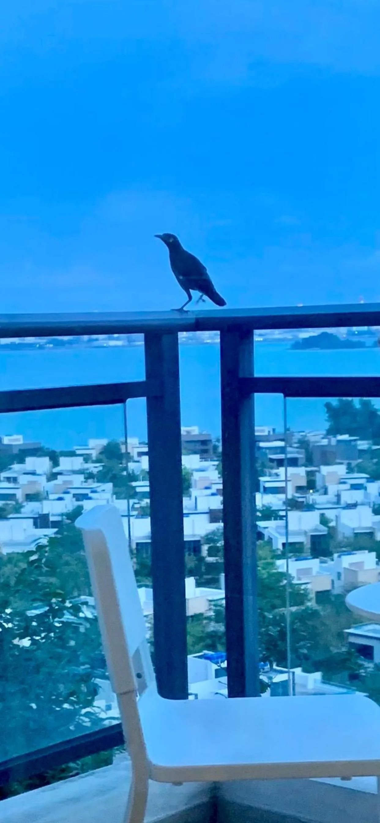 Balcony/Terrace in Sea view 2 bedroom Fully furnished Apartment Forest City Starview Bay Johor Malaysia