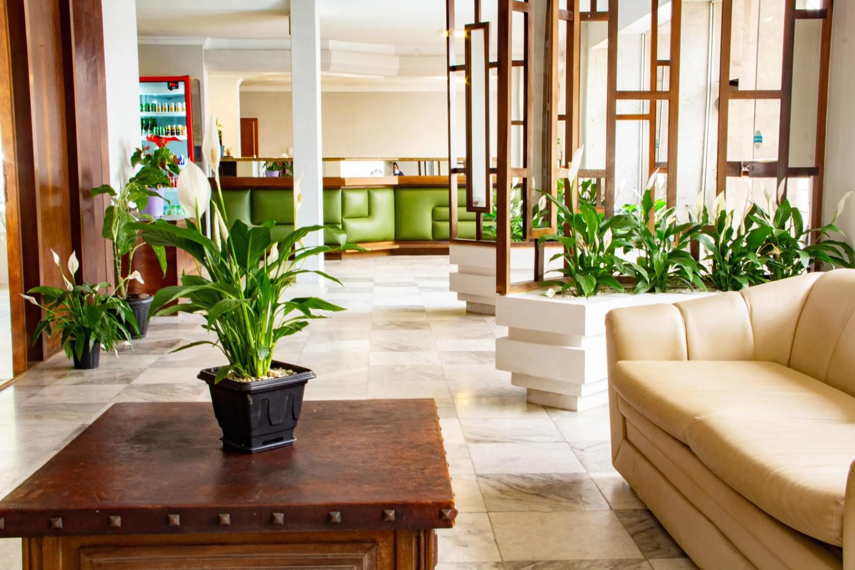 Lobby or reception in HOTEL DOMHOF