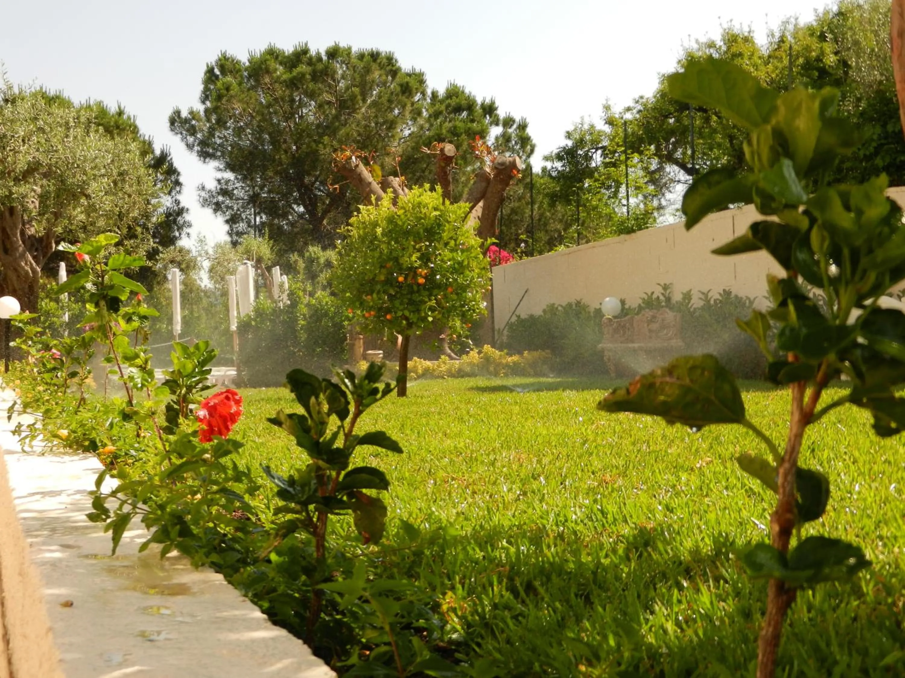 Garden in Villa Collina