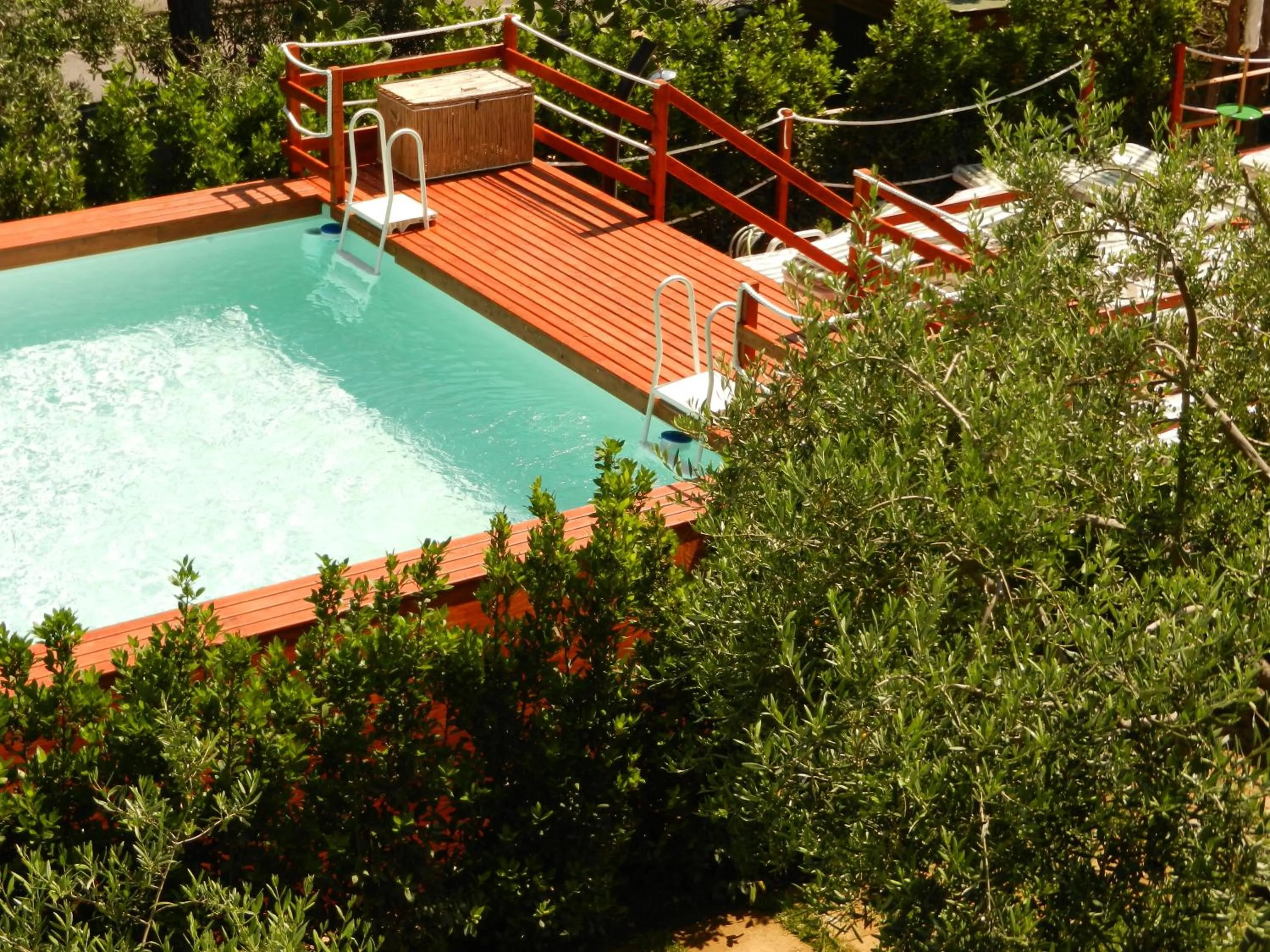 Swimming pool in Villa Collina