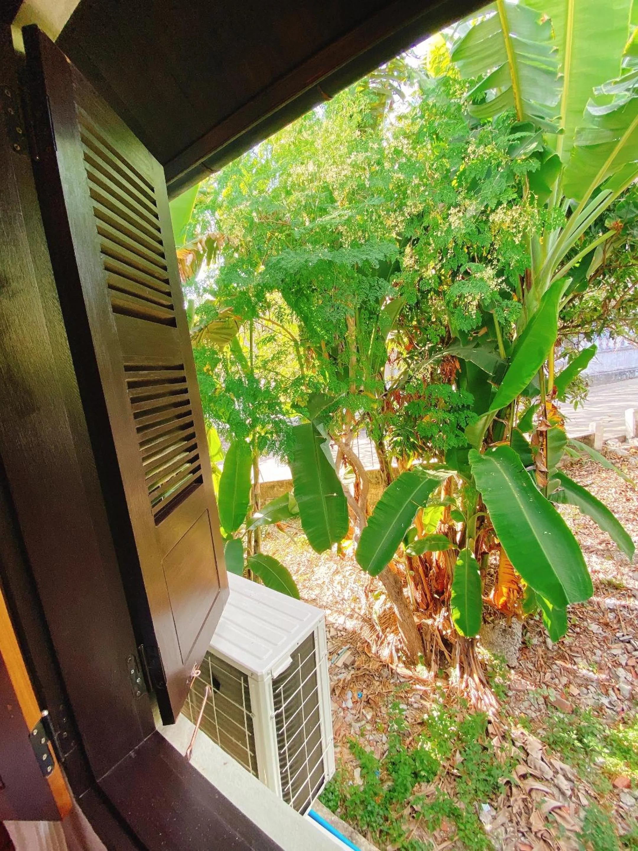 Day in Opera Premier Hotel