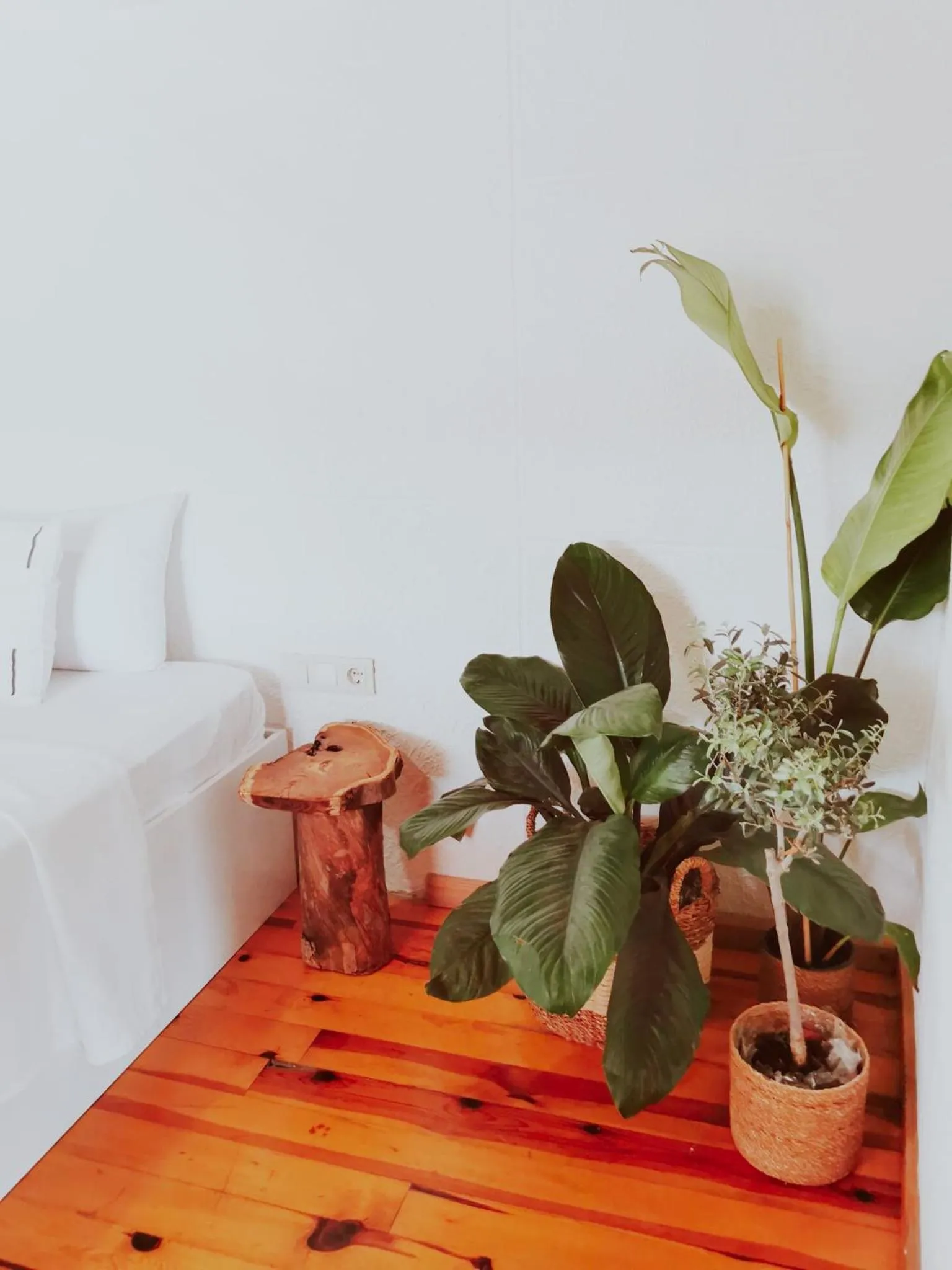 Goodman Hotel & Bistro