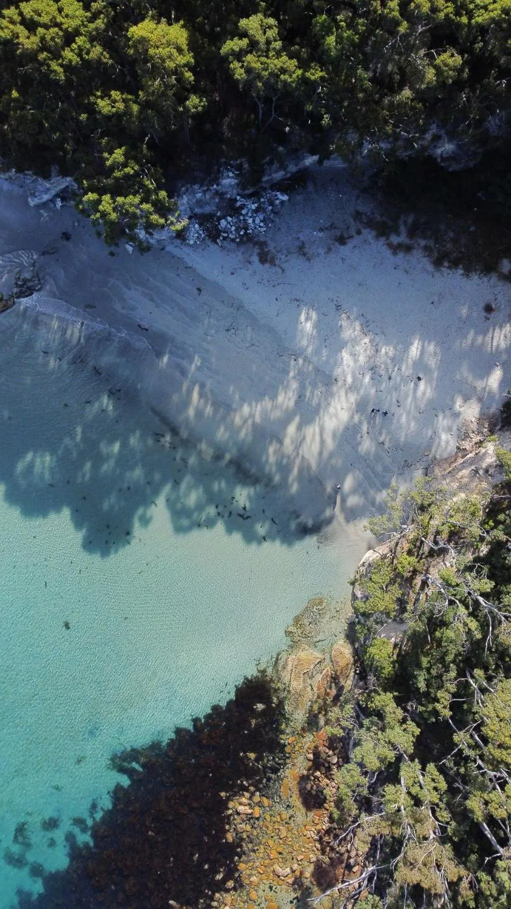 Beach in Lumeah Retreat Bruny Island