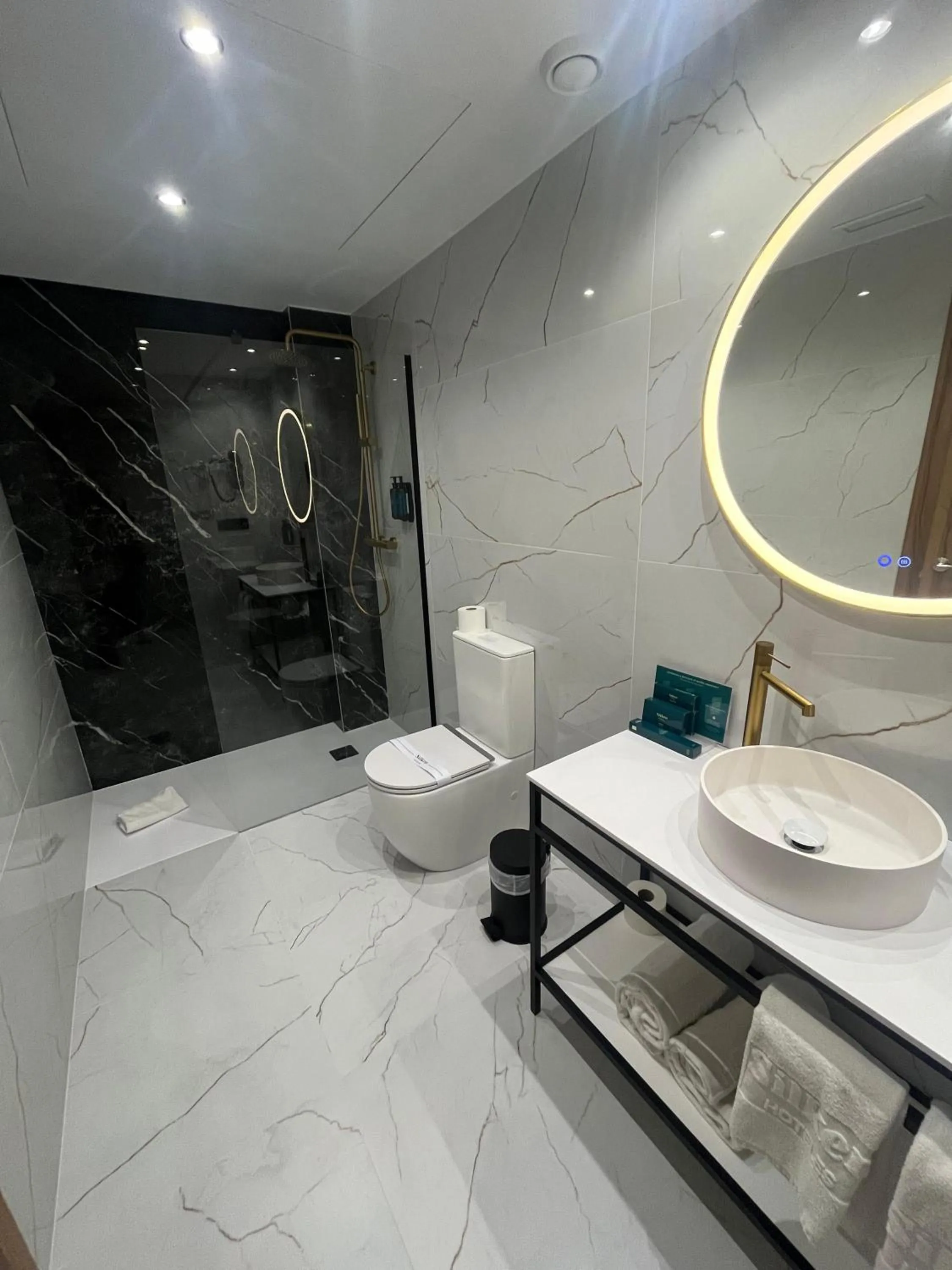 Bathroom in Silken Rona Dalba