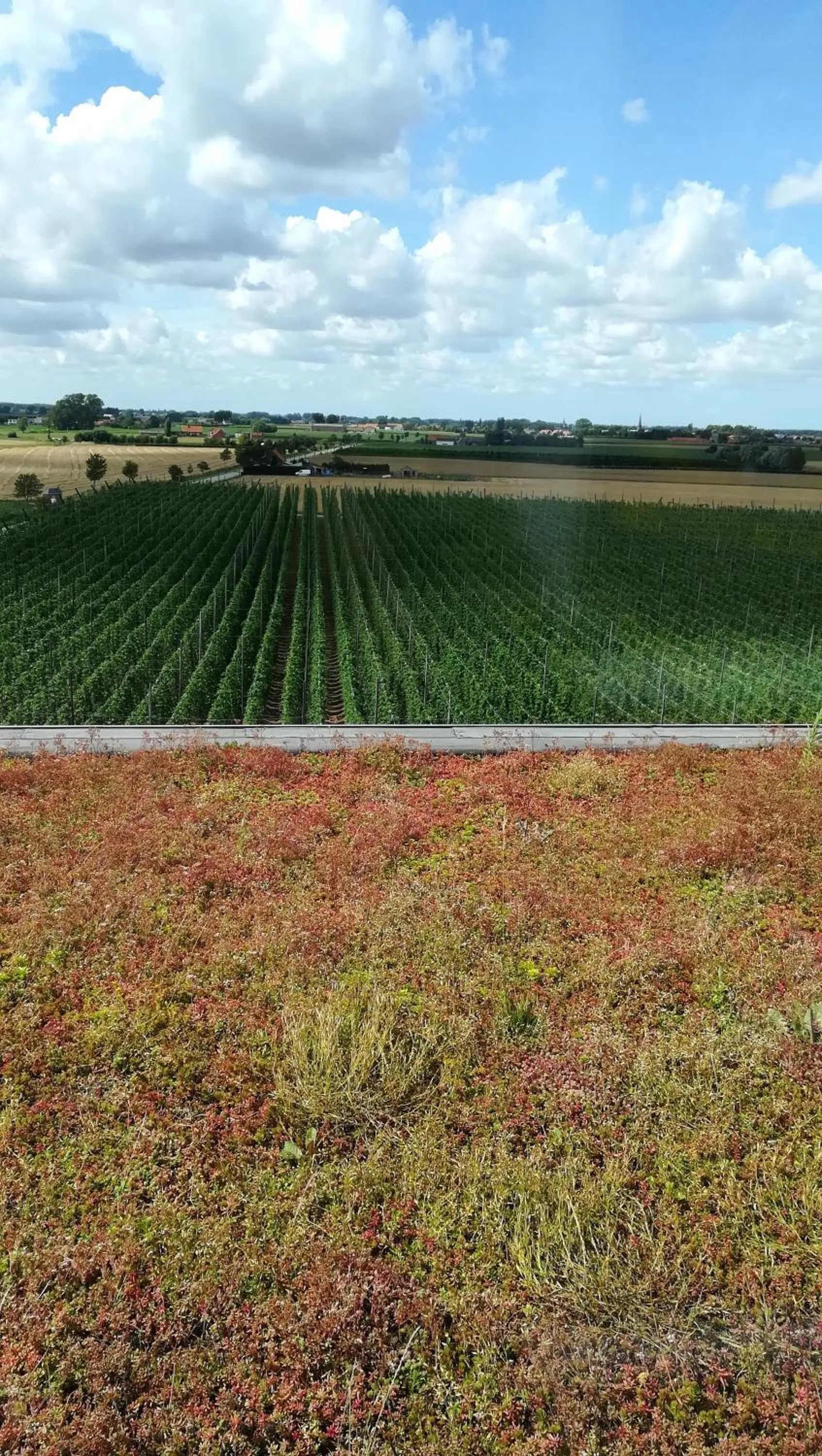 Activities in Monts et Merveilles