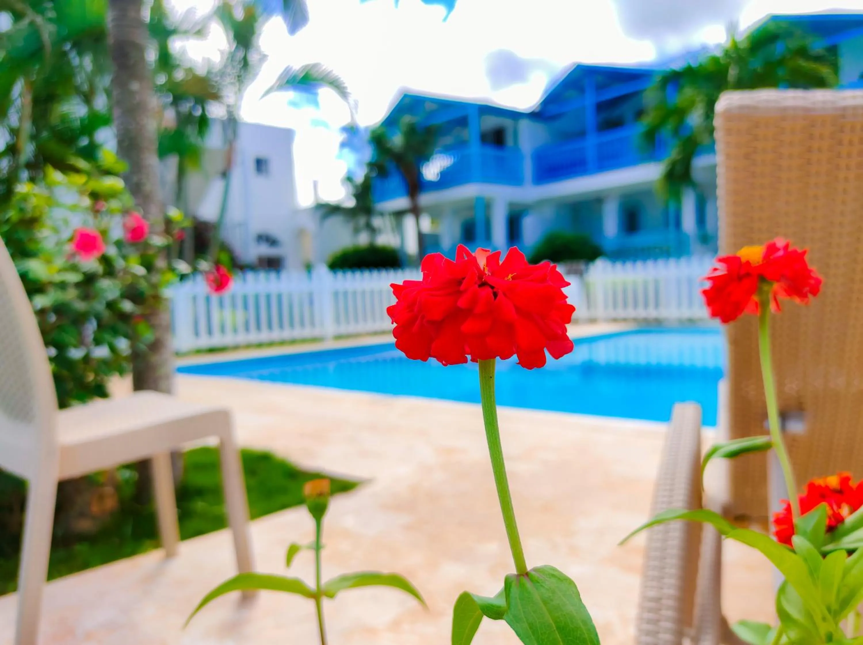 Swimming pool in B&B Aparthotel La Isleta