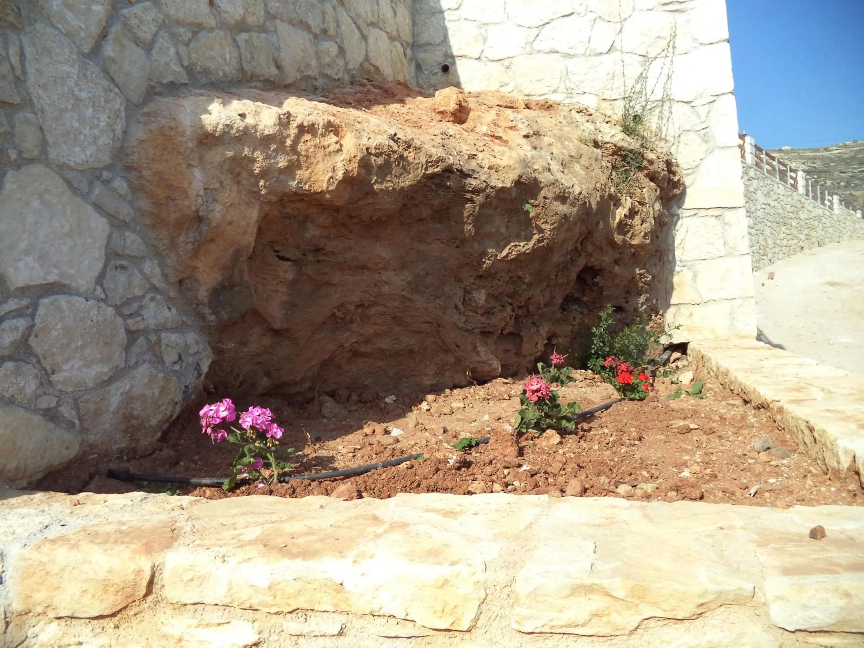 Garden in Falasarna Bay