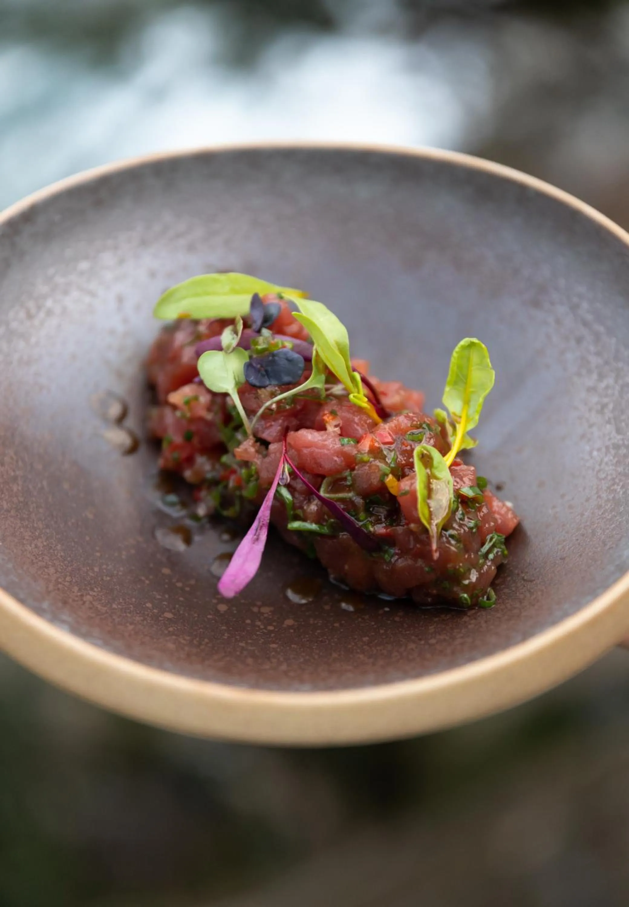 Restaurant/places to eat in Park Hotel San Jorge & Spa by Escampa Hotels