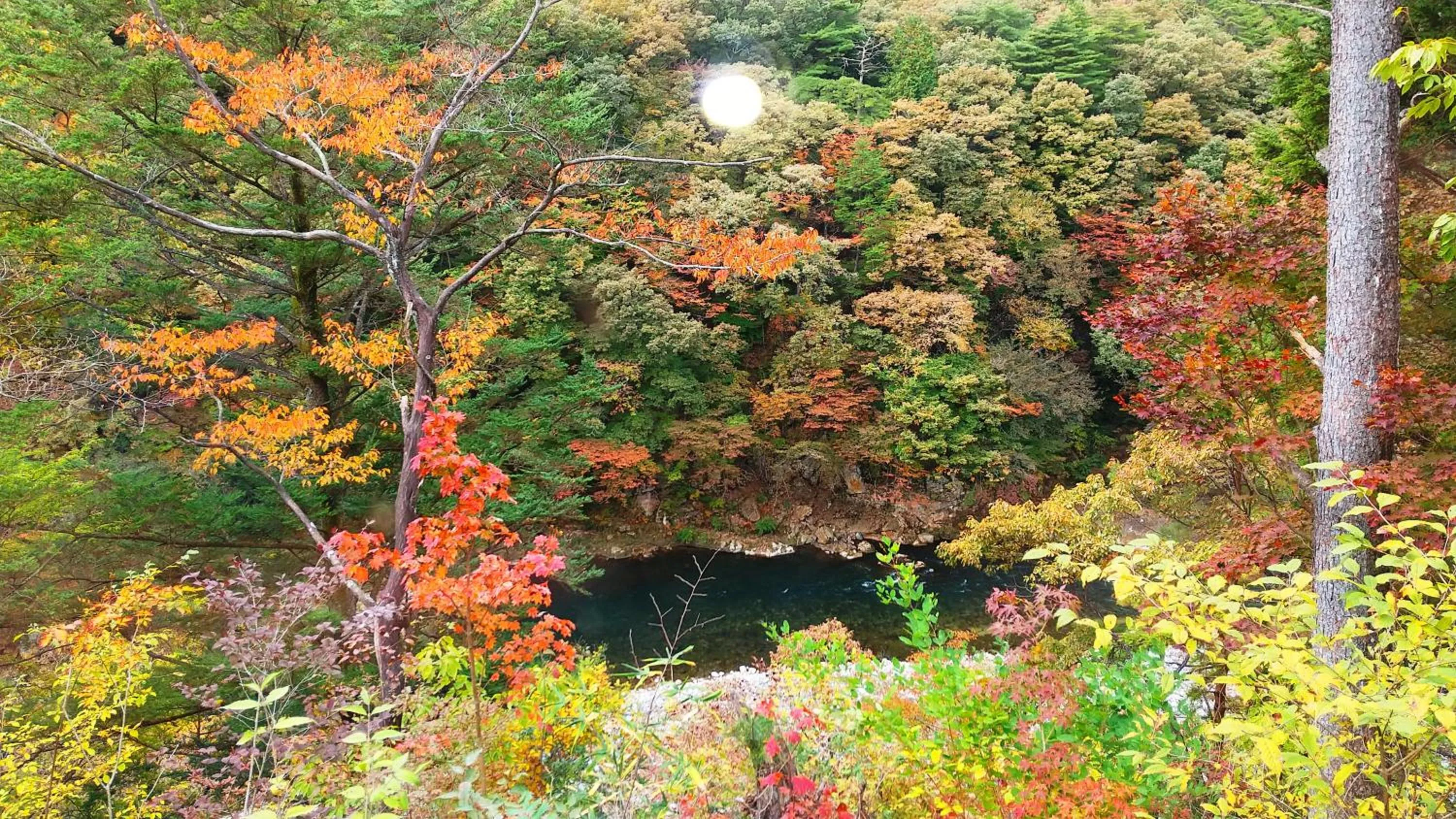 Natural landscape in K's House Nikko - Kinugawa Onsen Hostel