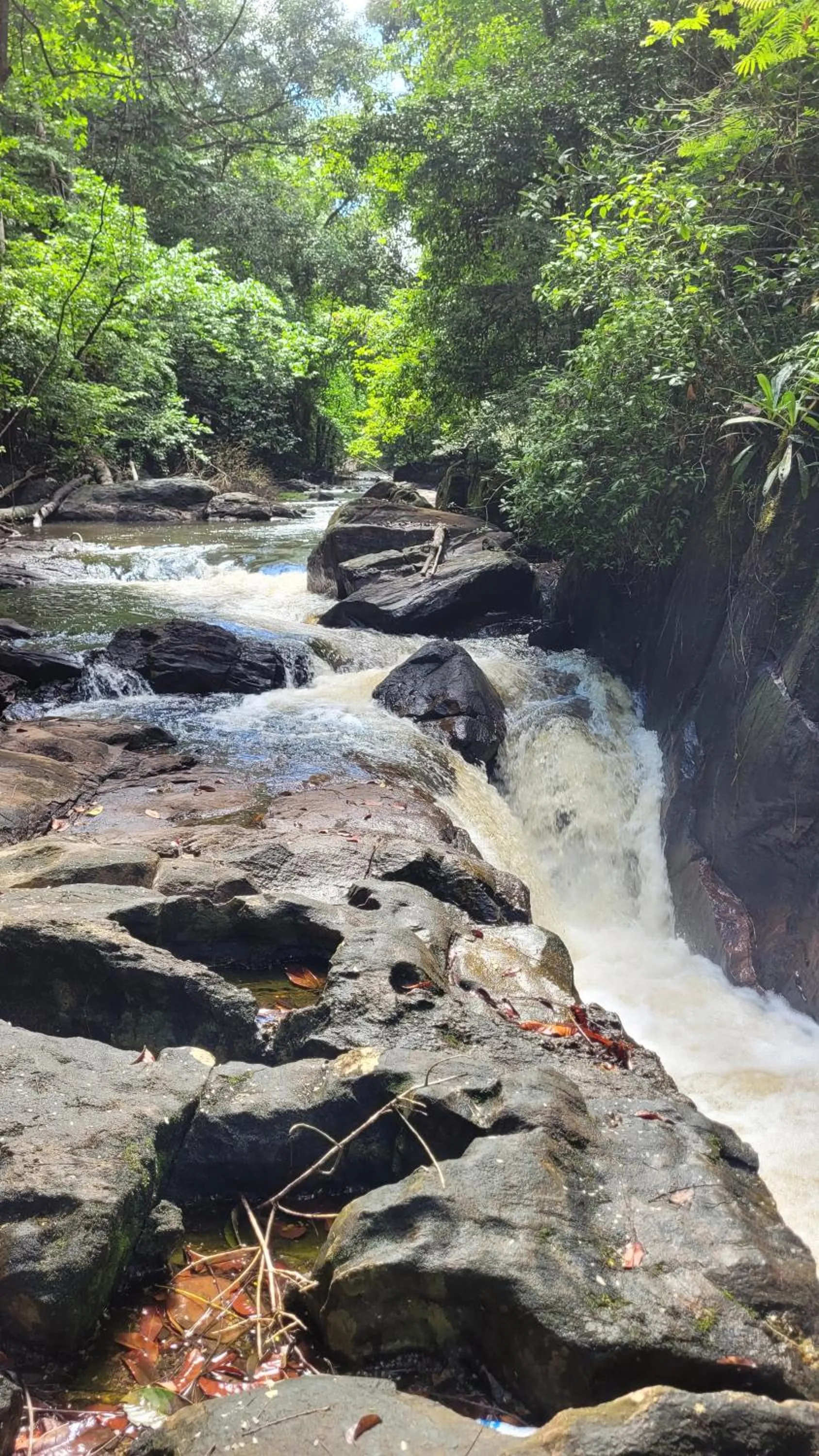 Natural landscape in Greenheart Boutique Hotel