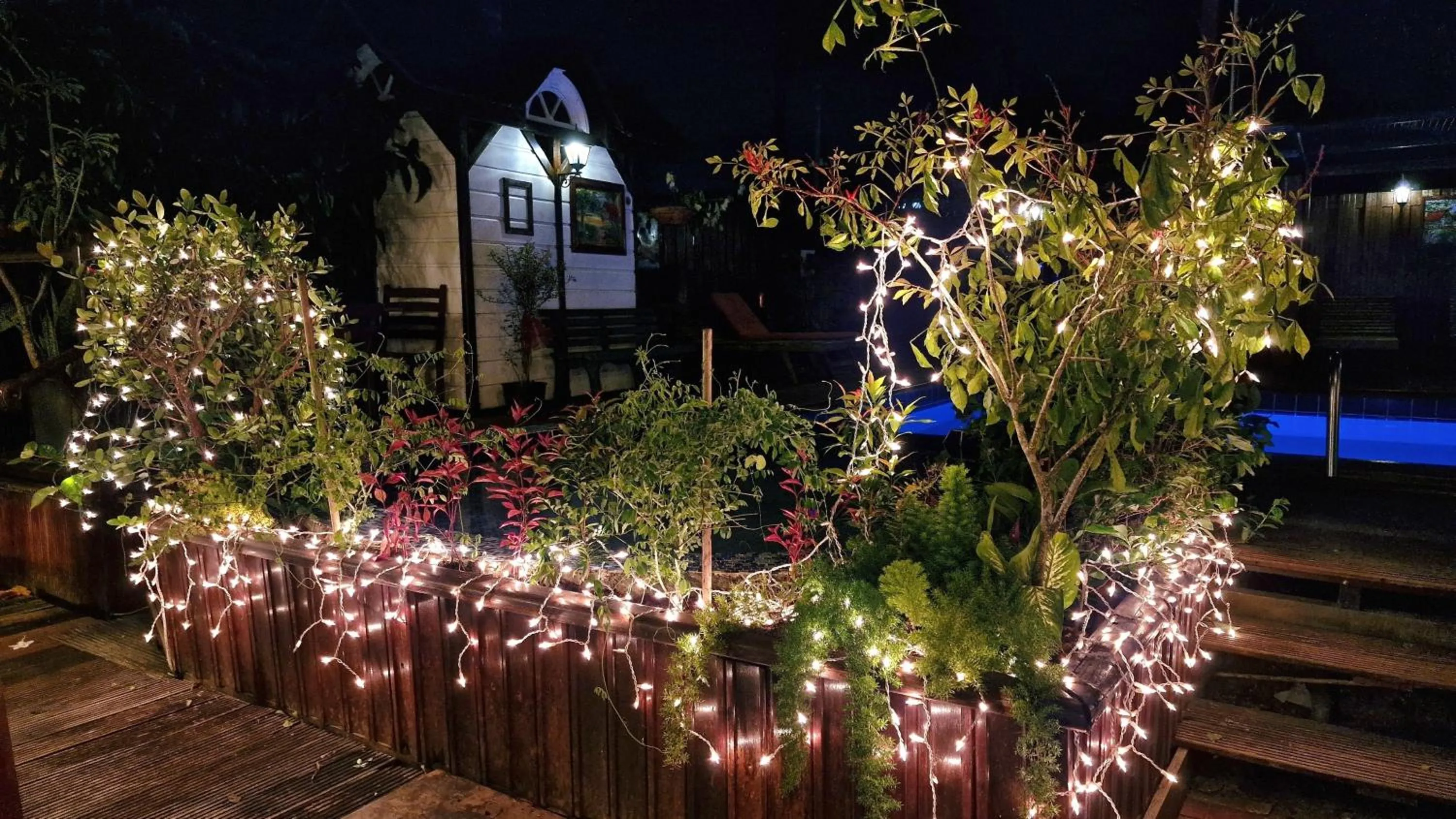 Night in Greenheart Boutique Hotel