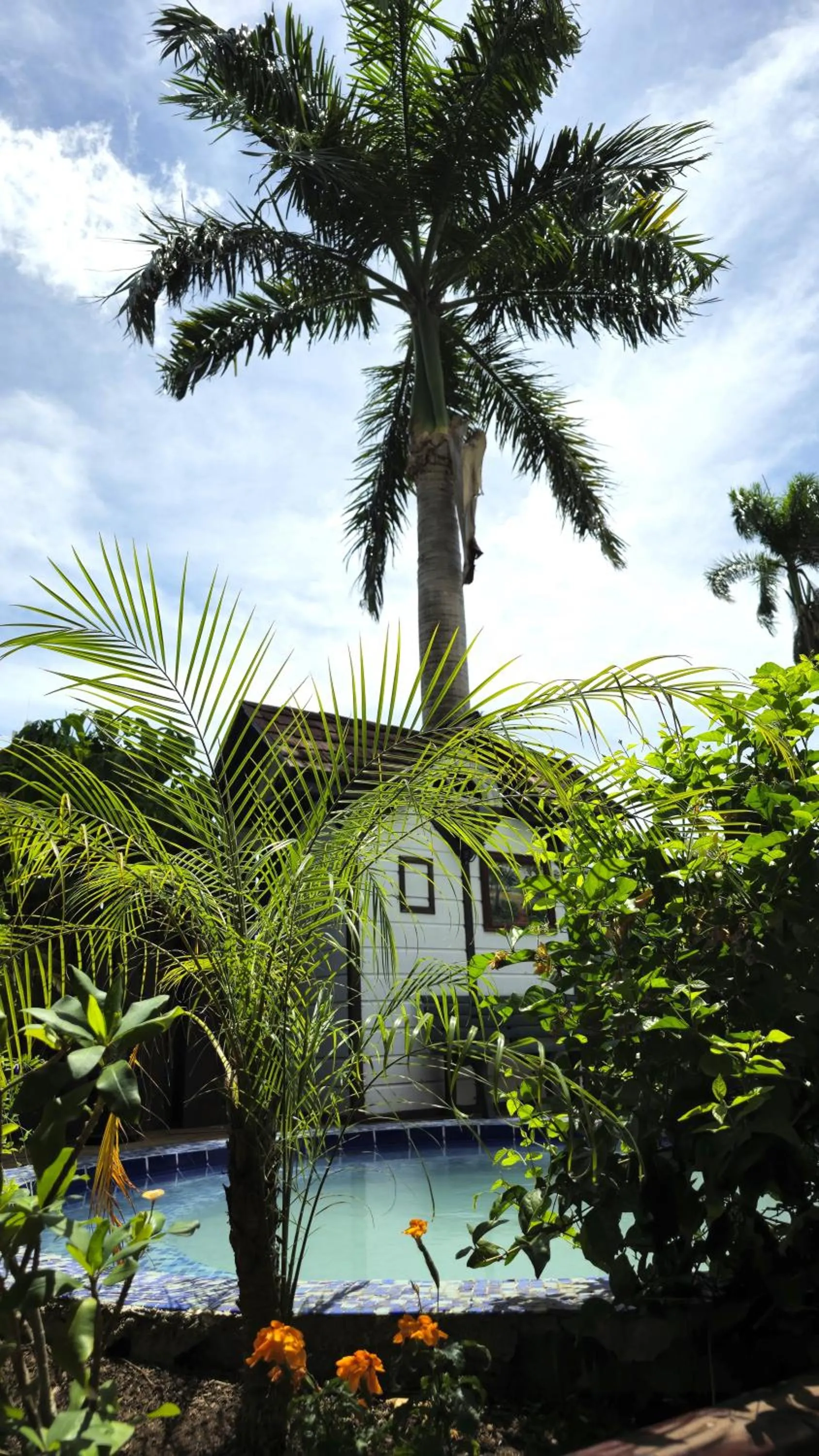 Swimming pool in Greenheart Boutique Hotel